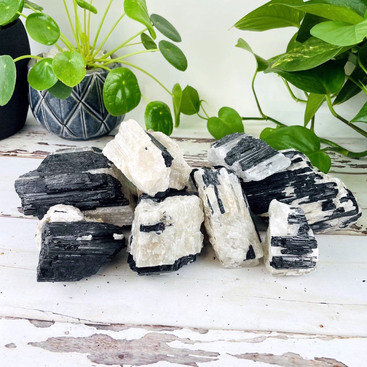 multiple pieces to show texture sizes colors and natural inclusions
