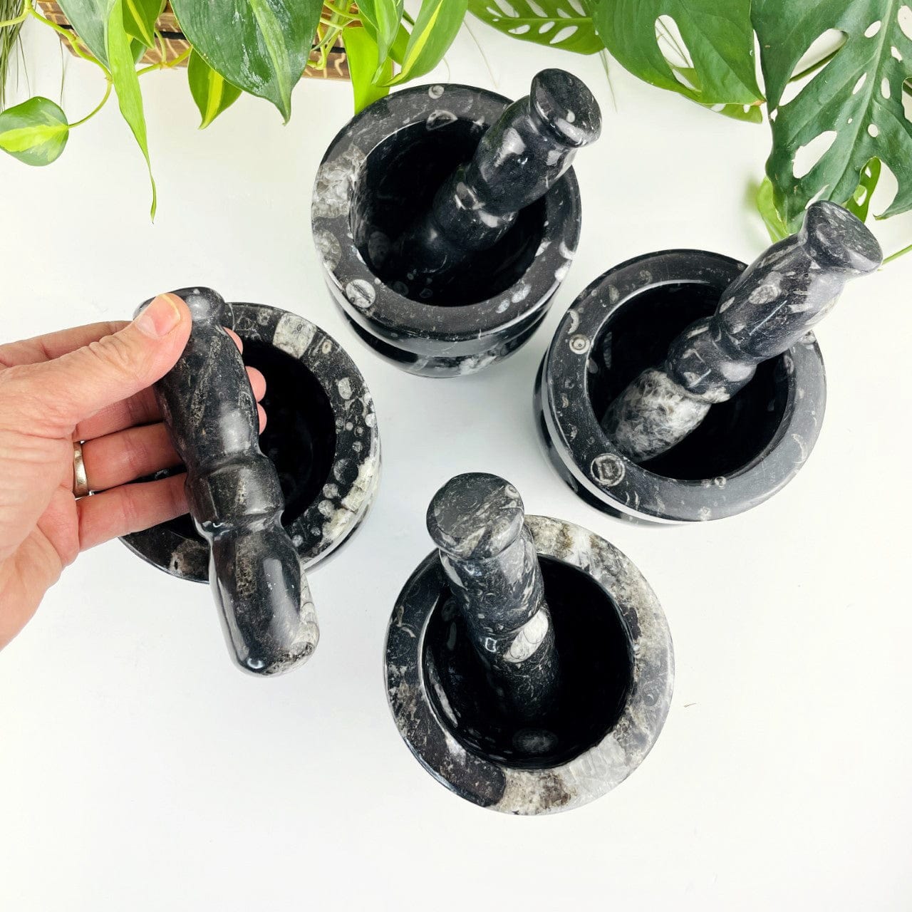 4 Orthoceras Fossil Mortar and Pestles from above with the pestle in hand for size reference