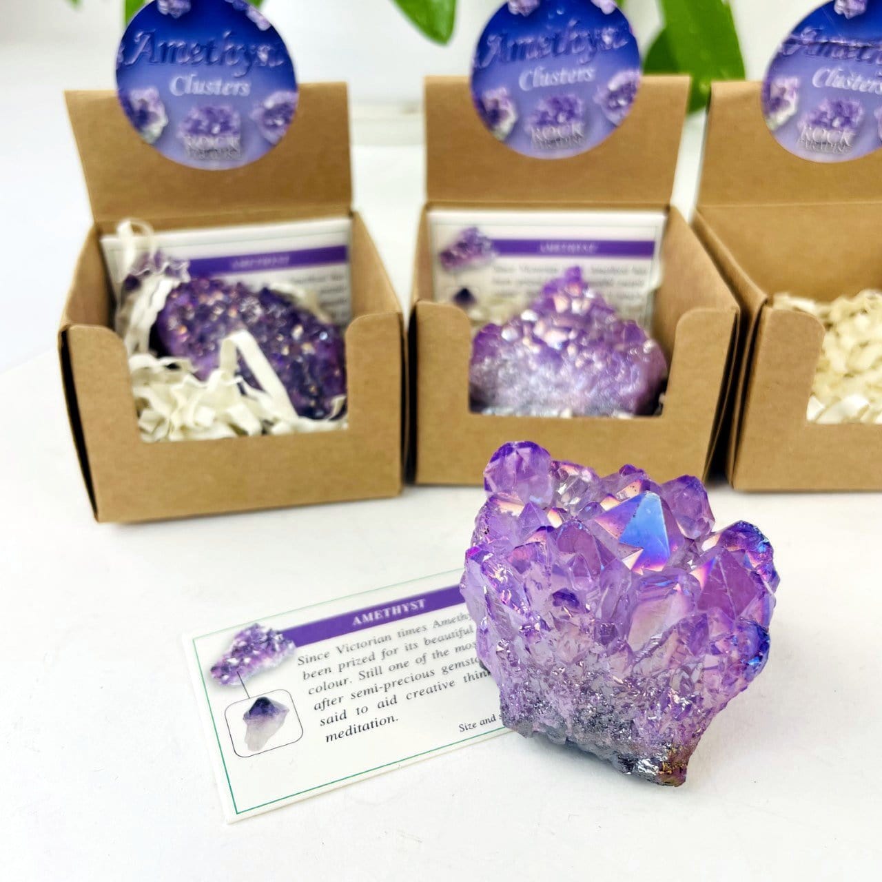 Amethyst Aura Crystal - Box of Geodes - Point of Purchase Display