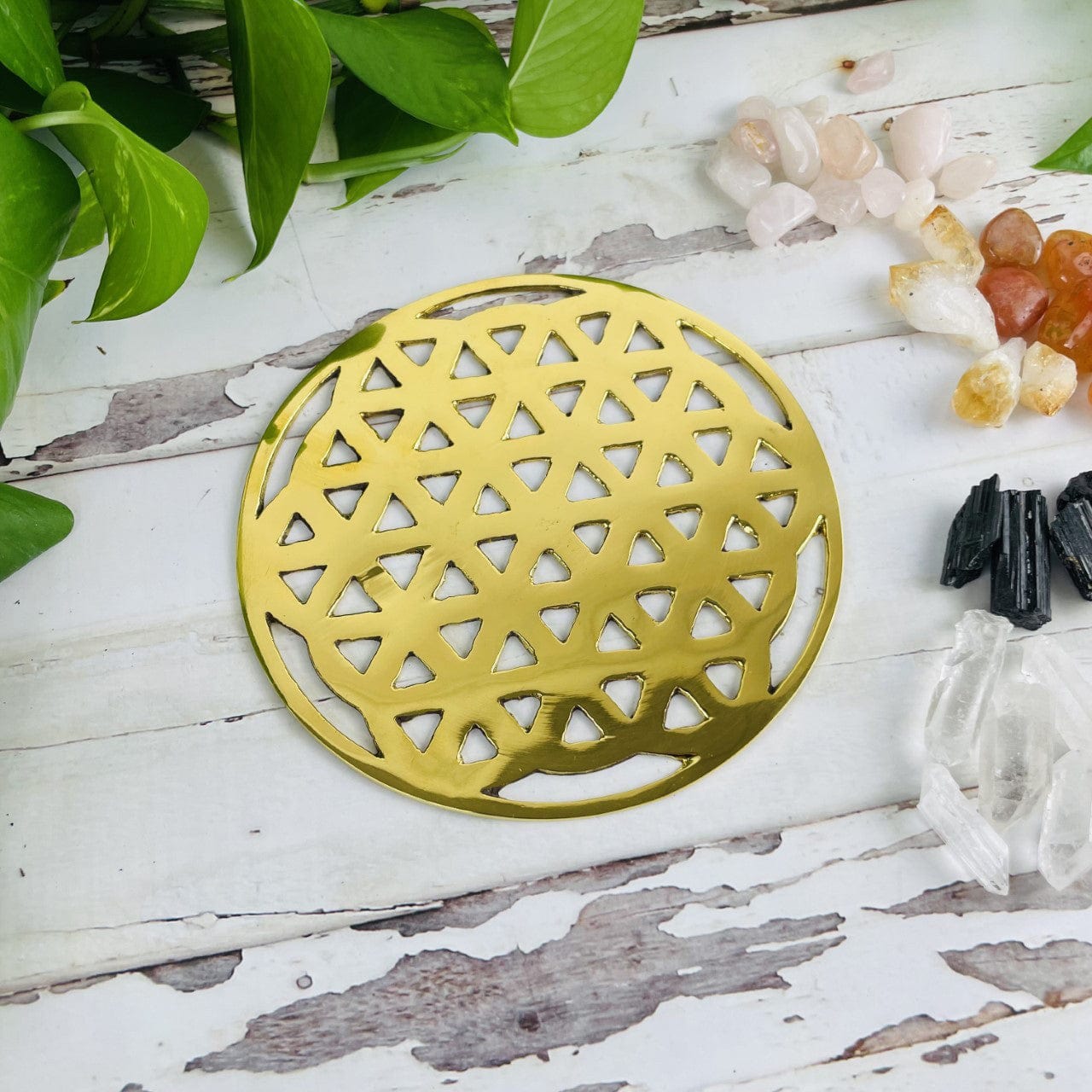 Brass Flower of Life Grid