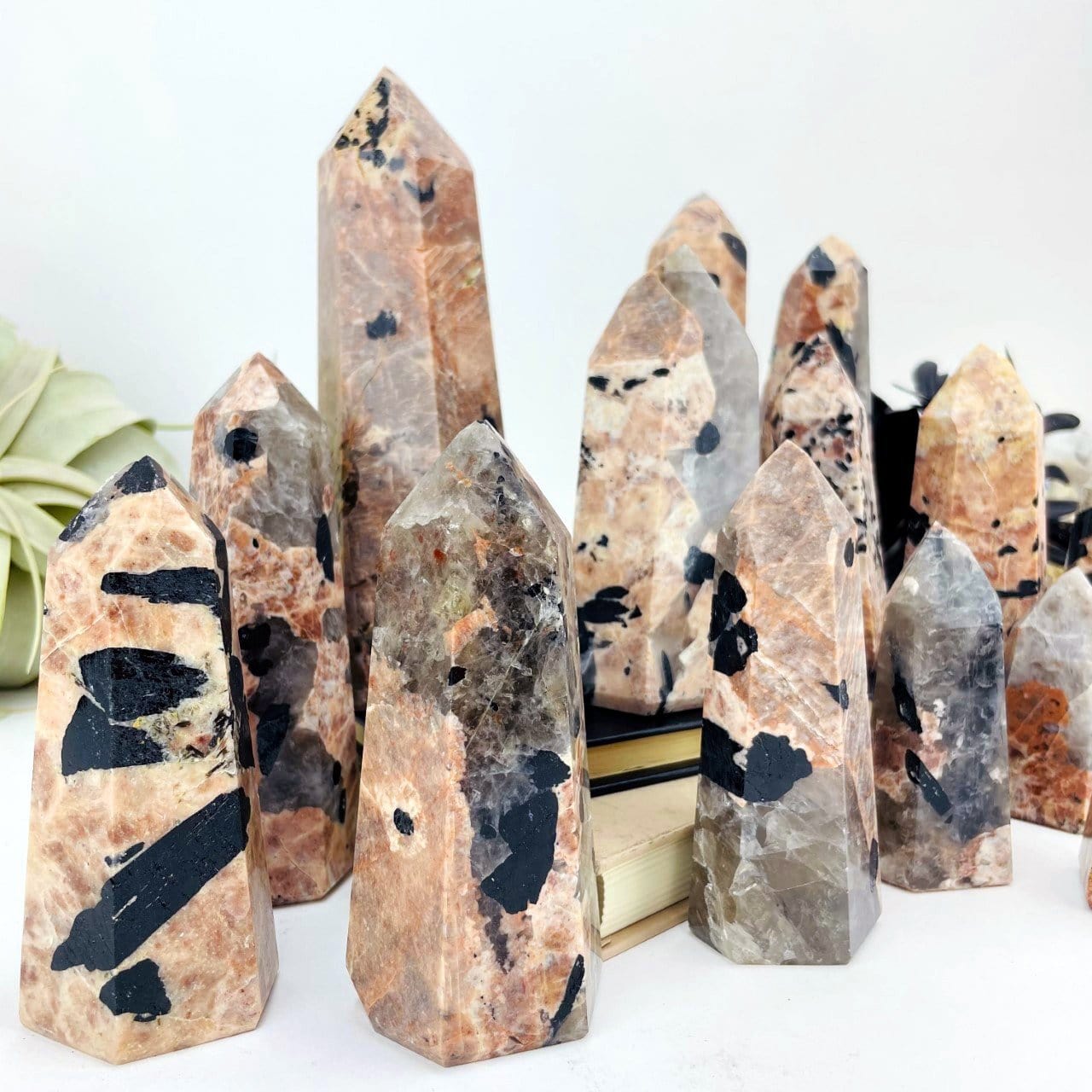 side view of polished points to show thickness