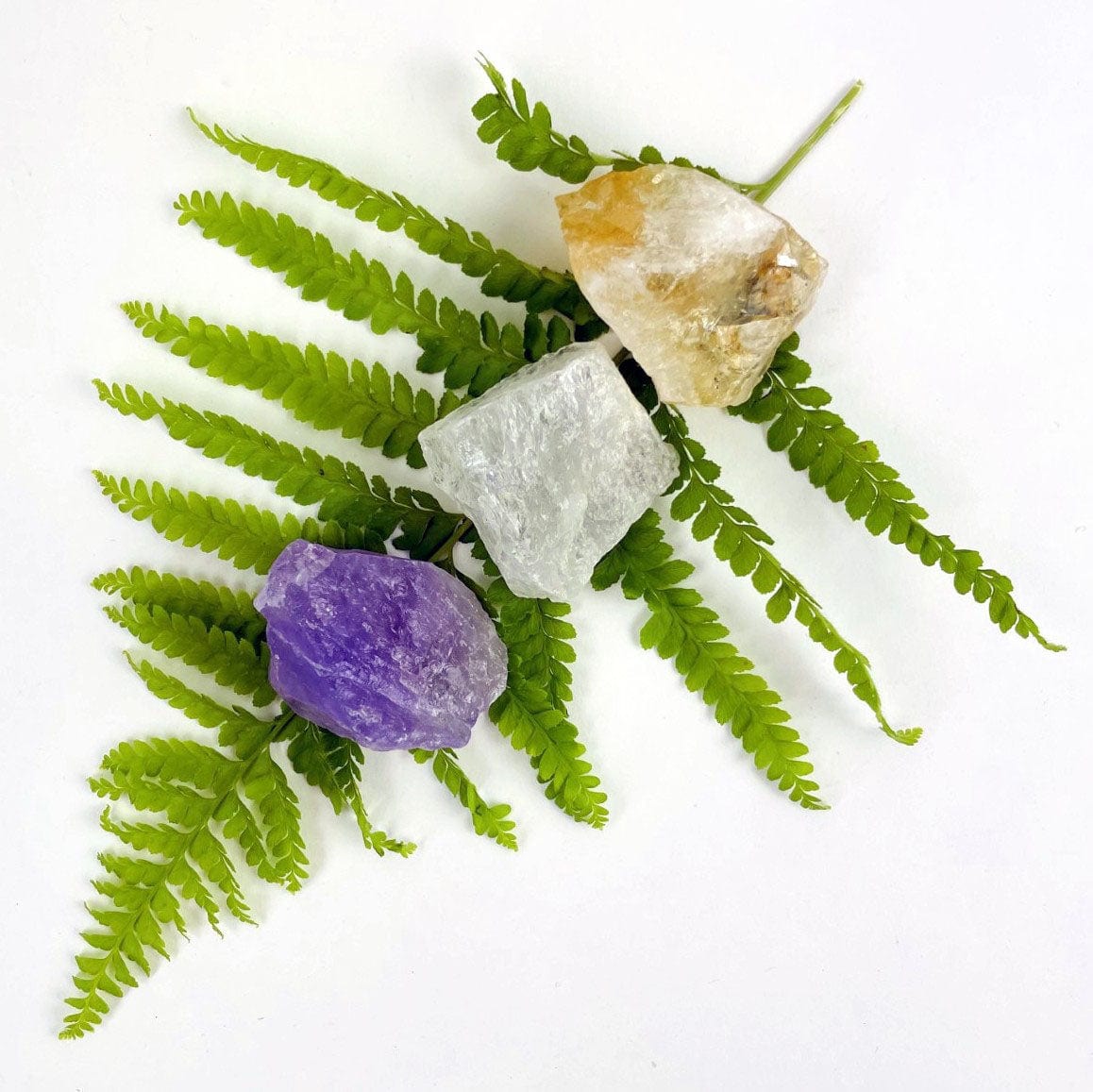 Rough Stone - Triple Energy Stone Set - Amethyst, Quartz, and Citrine on a leaf