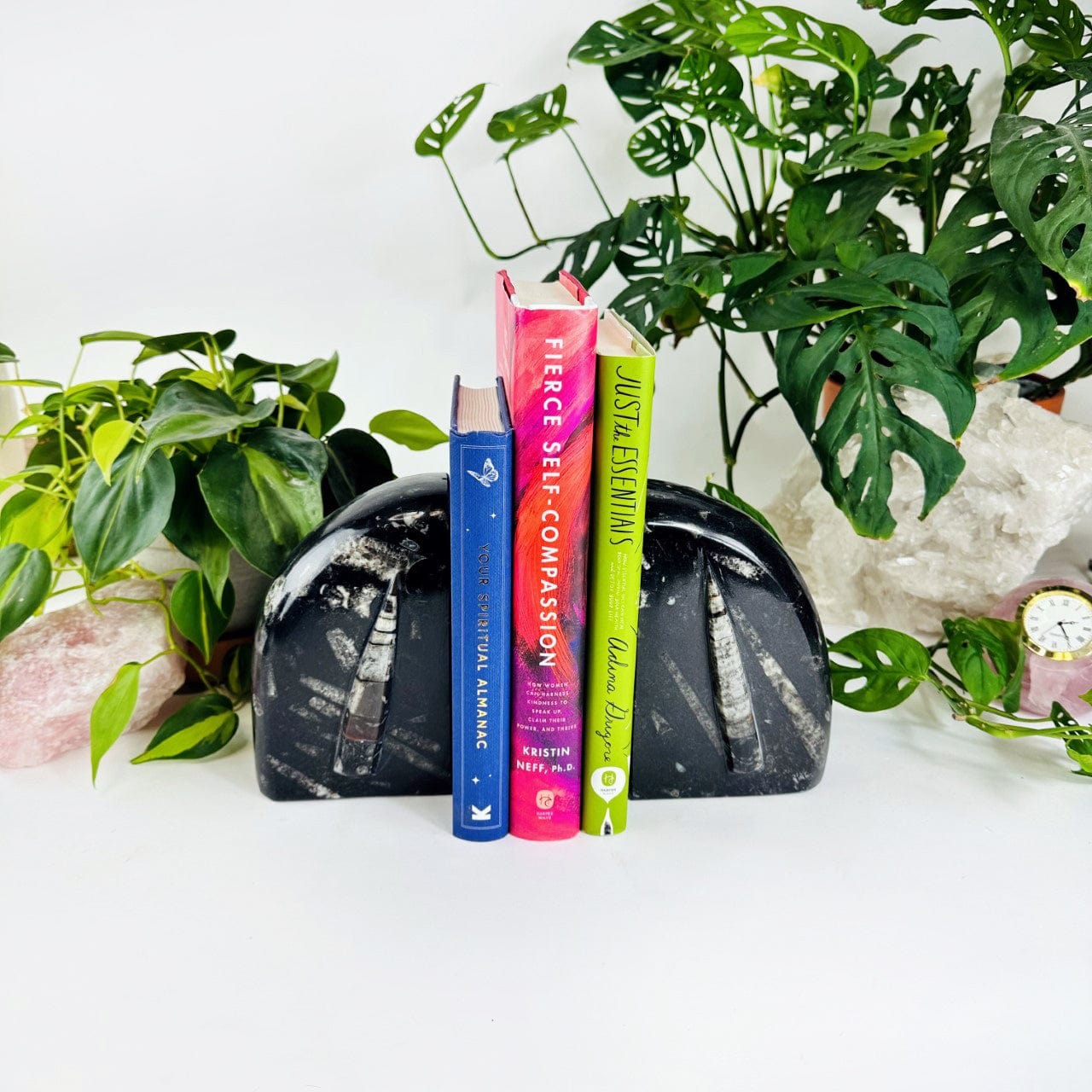 Orthoceras Fossil Bookends with rounded edges with books in between