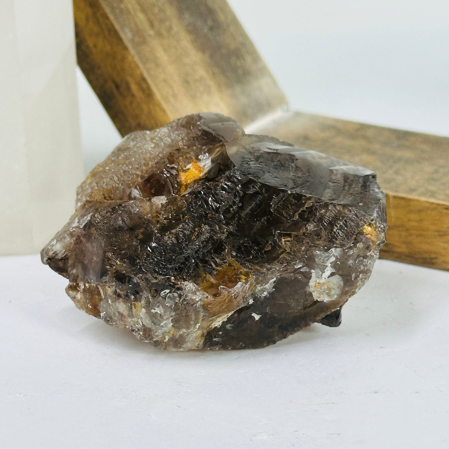 alligator smokey quartz with decorations in the background