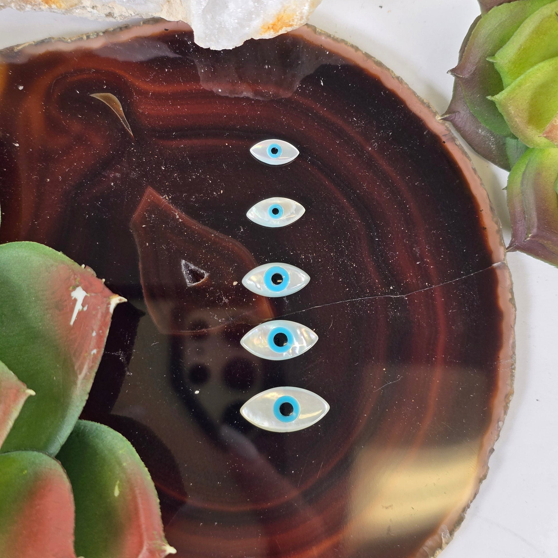 Mother of Pearl Shell Evil Eye Protection Cabochon - By Size all sizes with plants and props
