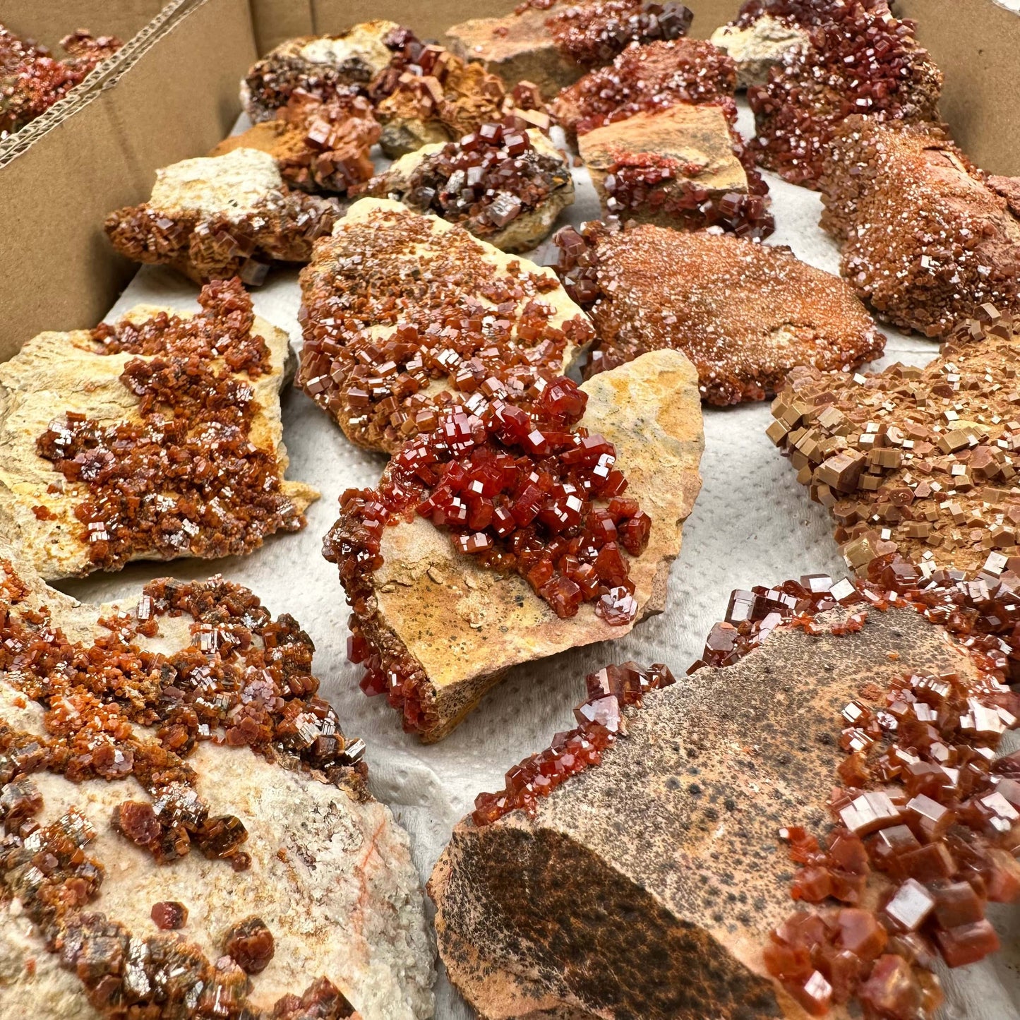close up of the details on these clusters
