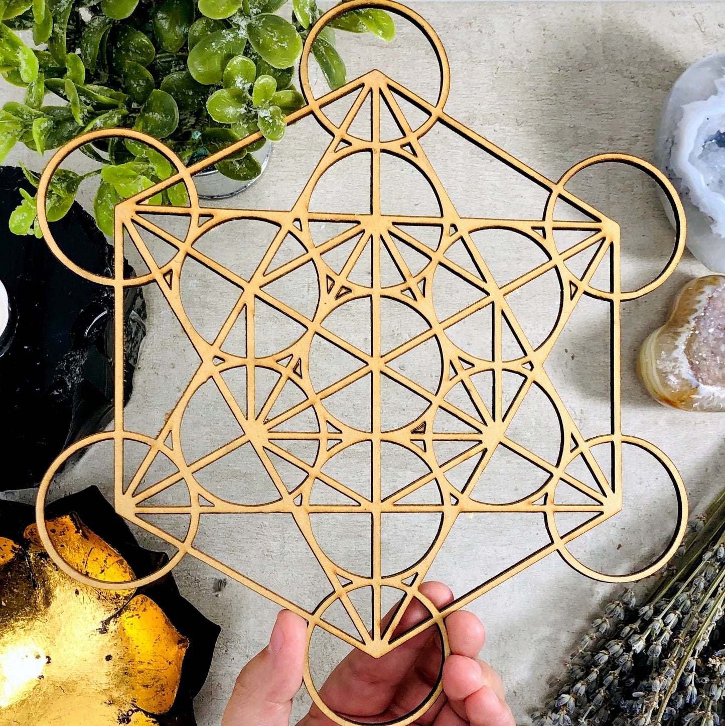 grid displayed in hand for size reference