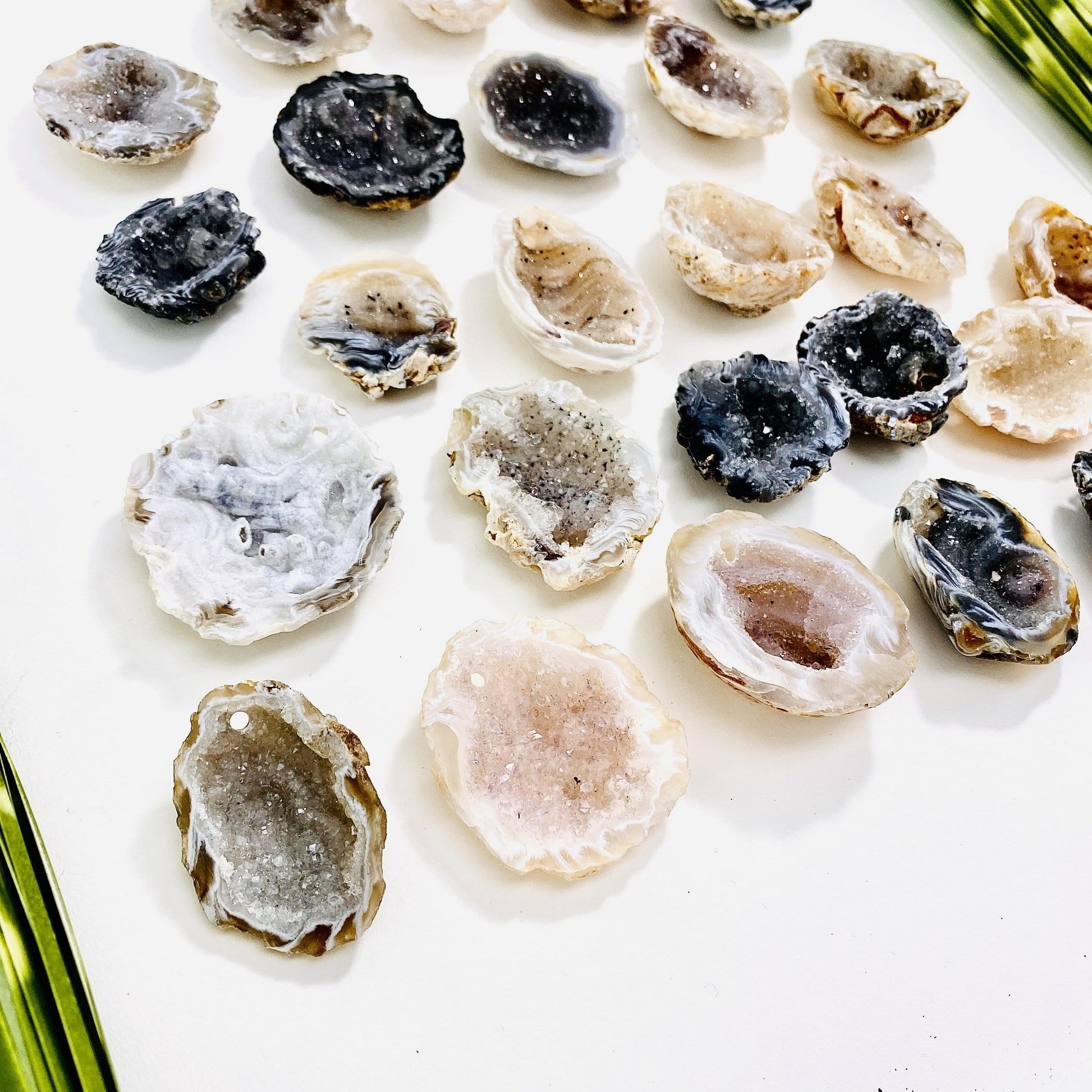 frilled druzy geodes on white background