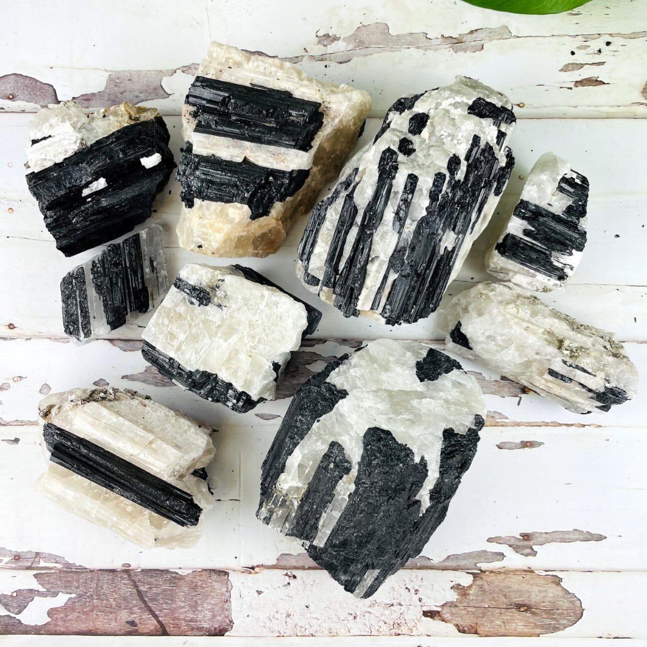 multiple Black Tourmaline on Matrix with various characteristics 