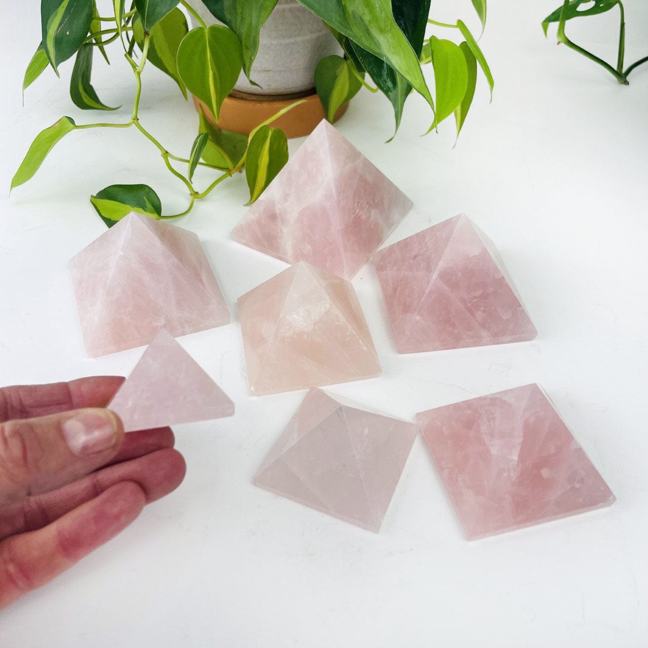 Rose Quartz Pyramids in assorted sizes available