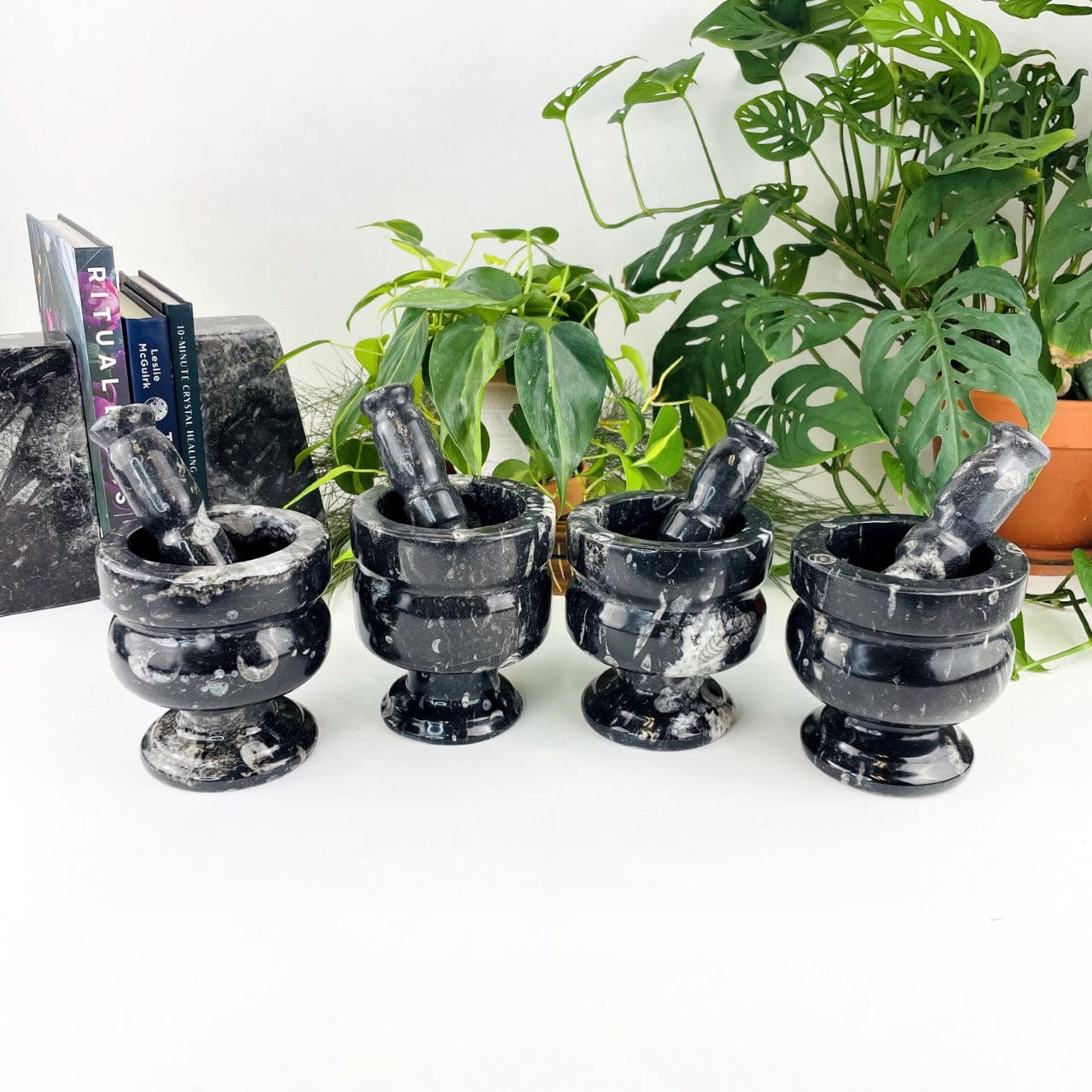 4 Orthoceras Fossil Mortar and Pestles to show stone variations