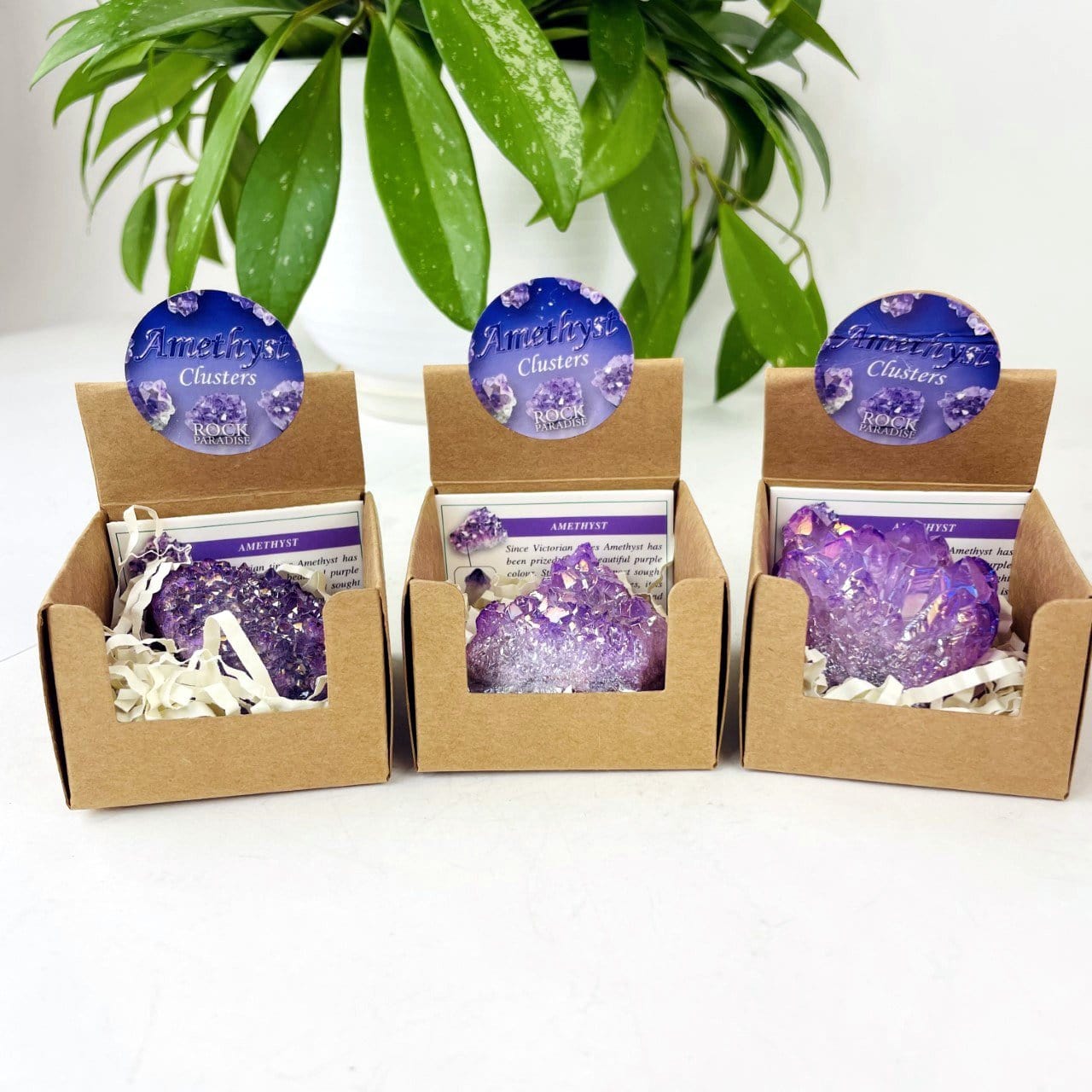 Amethyst Aura Crystal - Box of Geodes - Point of Purchase Display