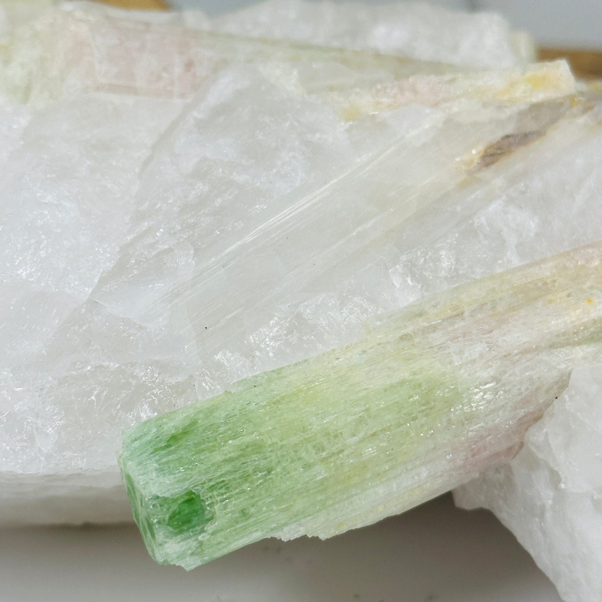 watermelon tourmaline with decorations in the background