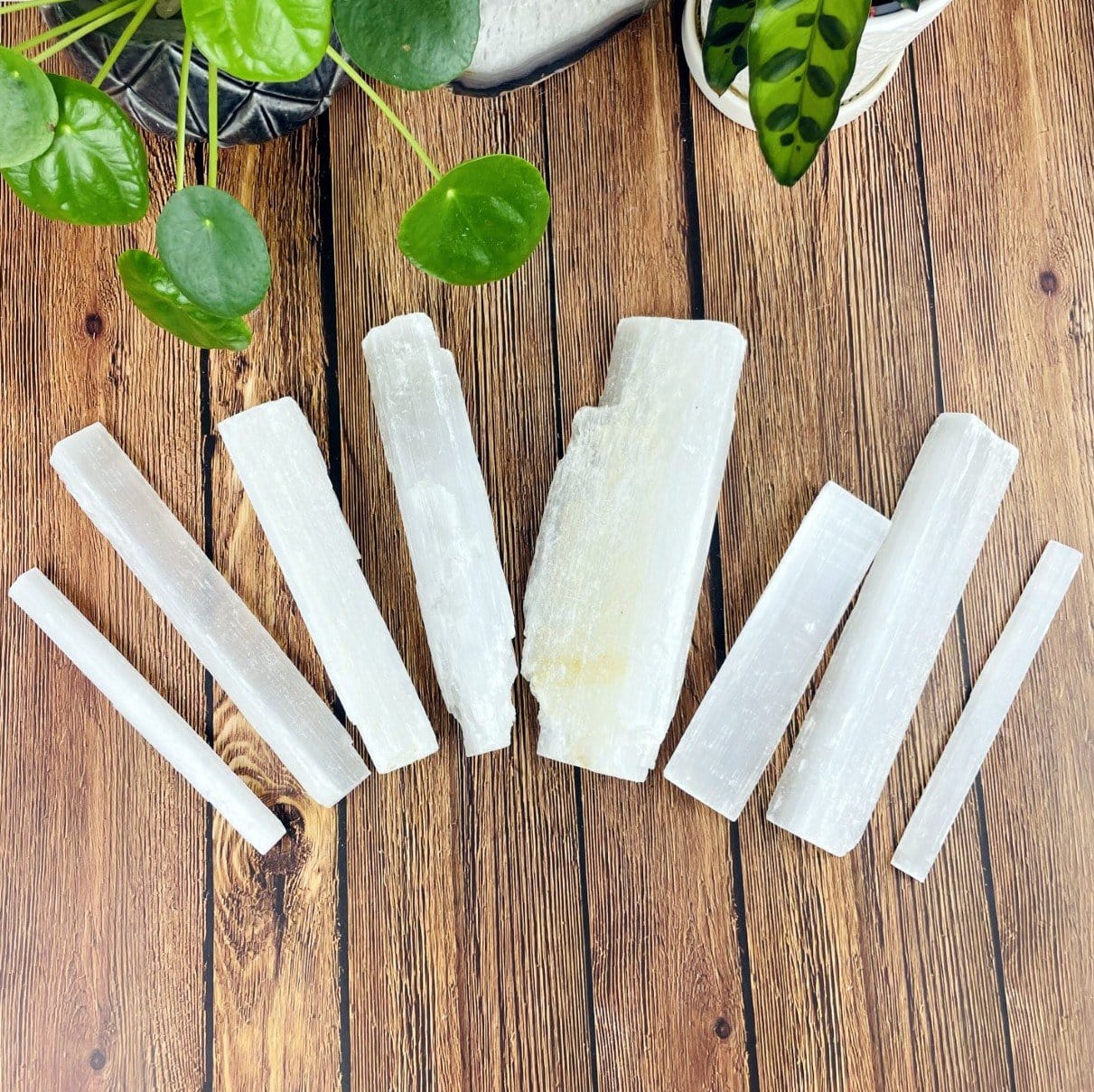 overhead view of selenite bars on display