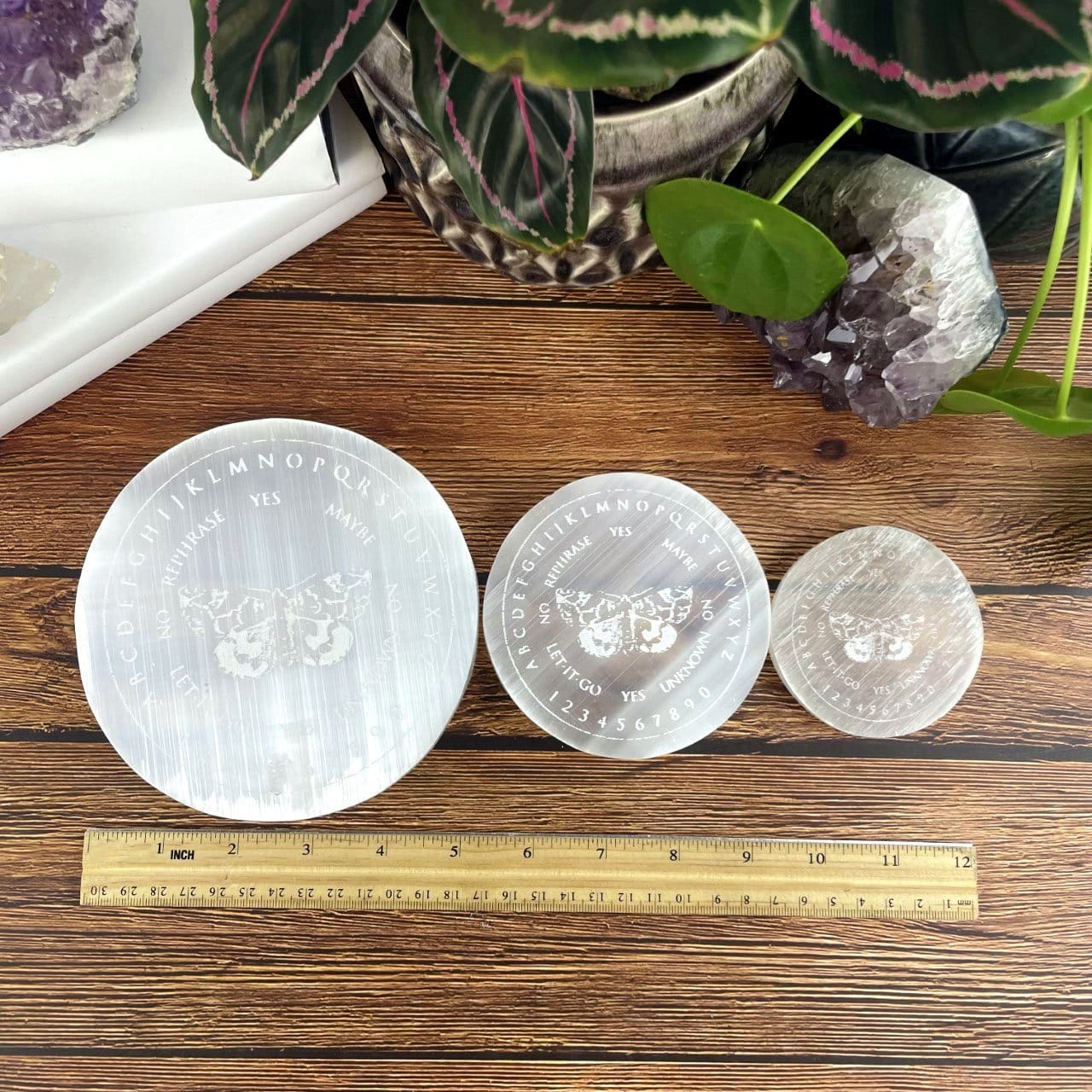 all three sizes with ruler for size reference