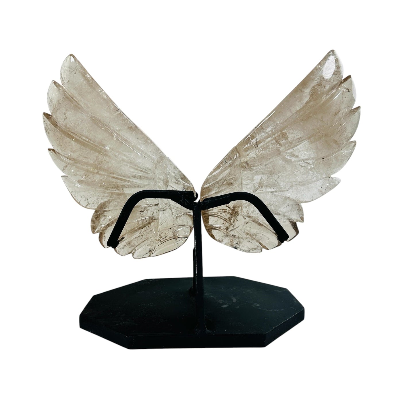 butterfly wings on white background