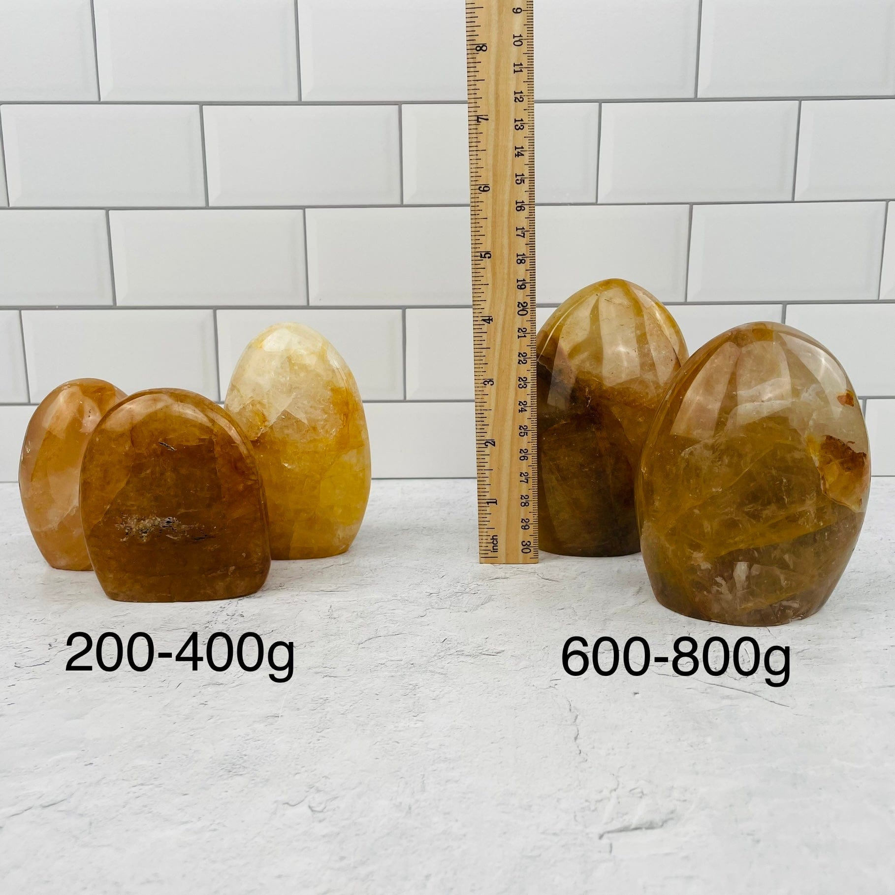 cut bases next to a ruler for size reference. sold by weight 