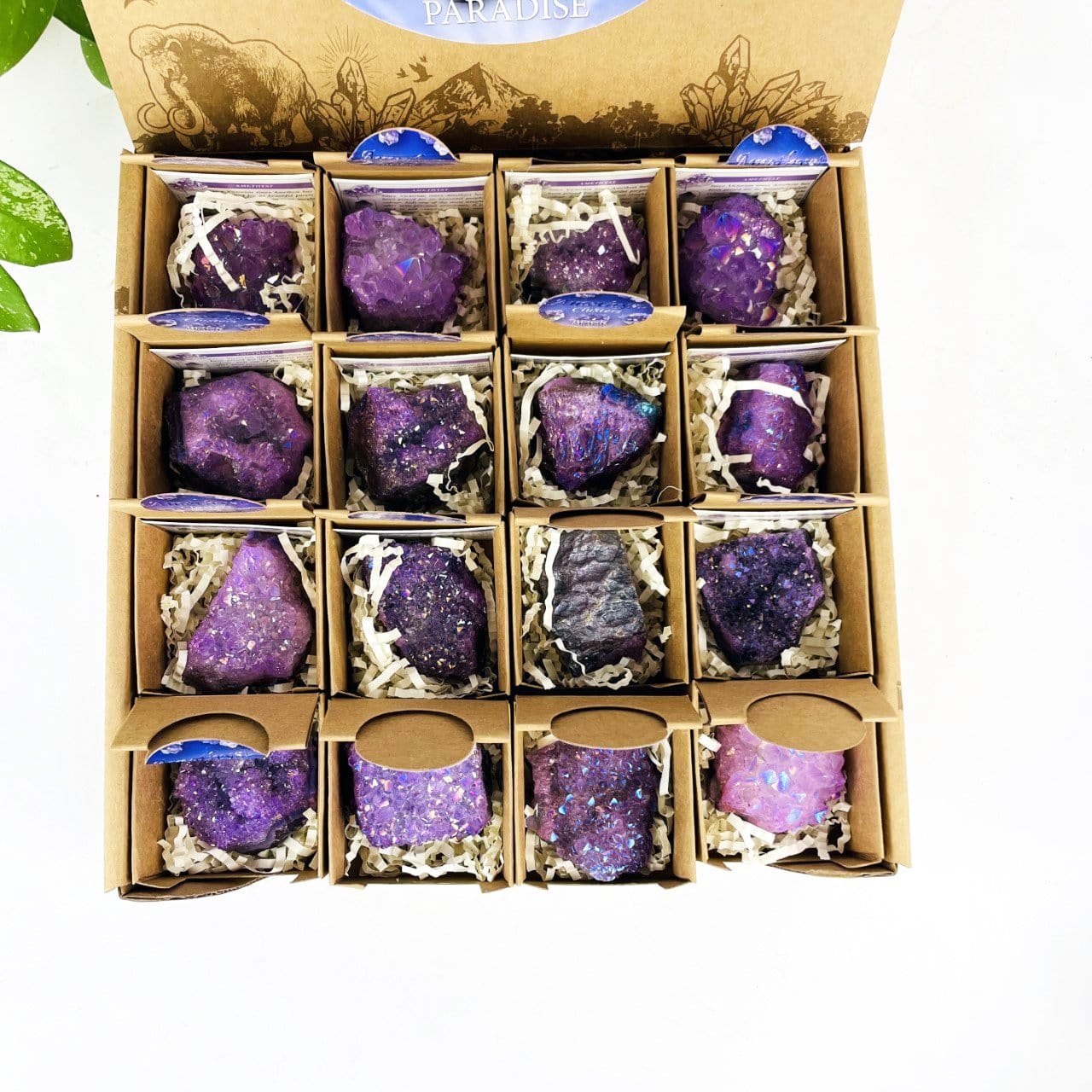 Amethyst Aura Crystal - Box of Geodes - Point of Purchase Display