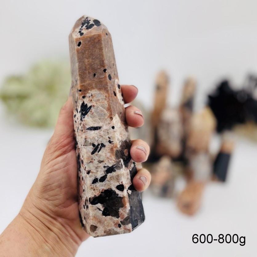 black tourmaline with feldspar polished point in hand for size reference weights between 600-800g