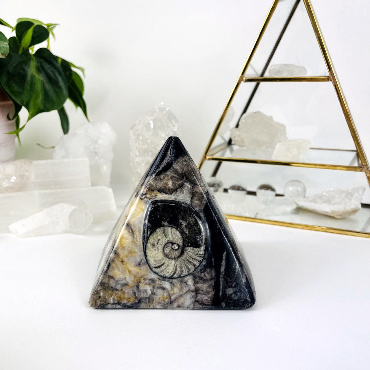 Ammonite and Orthoceras Fossil Pyramid on display
