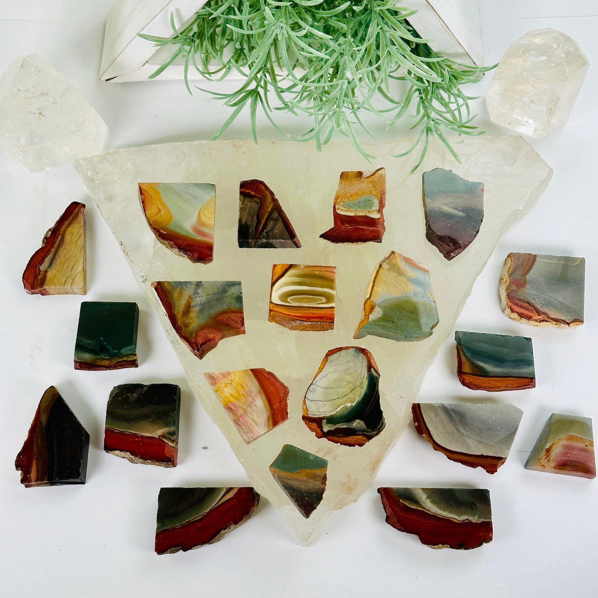 Polychrome Jasper Semi Polished Crystal Slab - You Choose #2 all variants top view with plants and props in the background