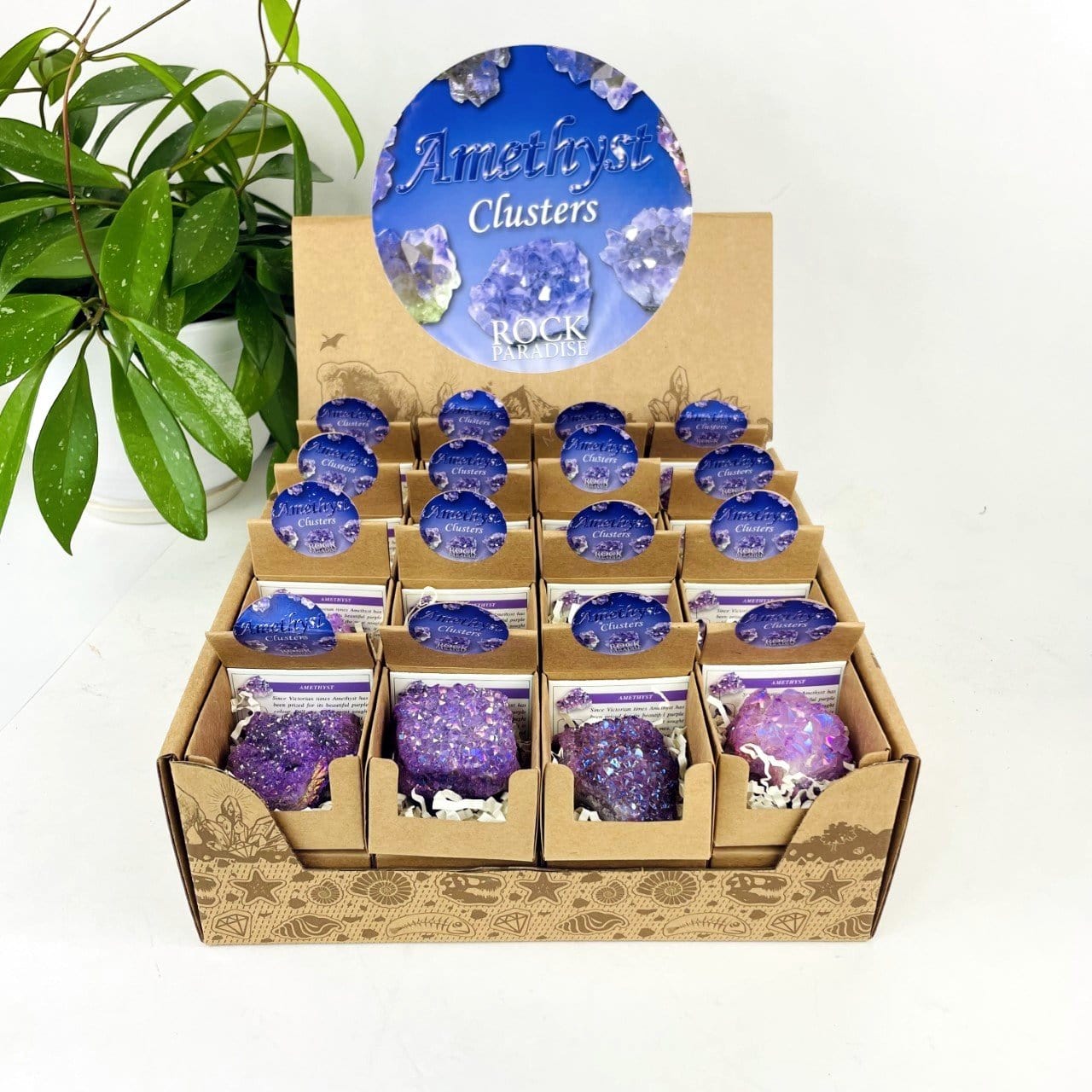 Amethyst Aura Crystal - Box of Geodes - Point of Purchase Display