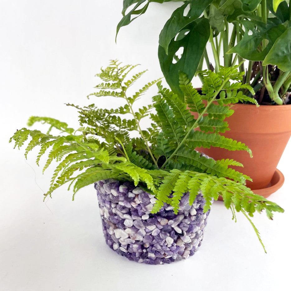 flower pot set as home decor 