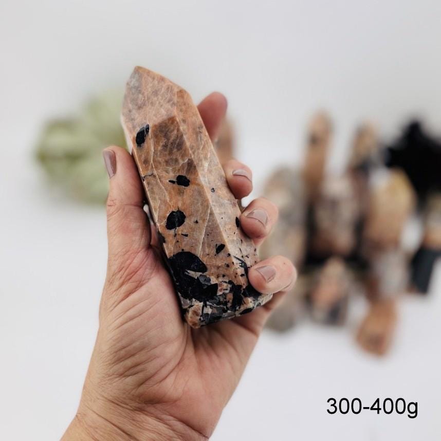 black tourmaline with feldspar polished point in hand for size reference weights between 300-400g