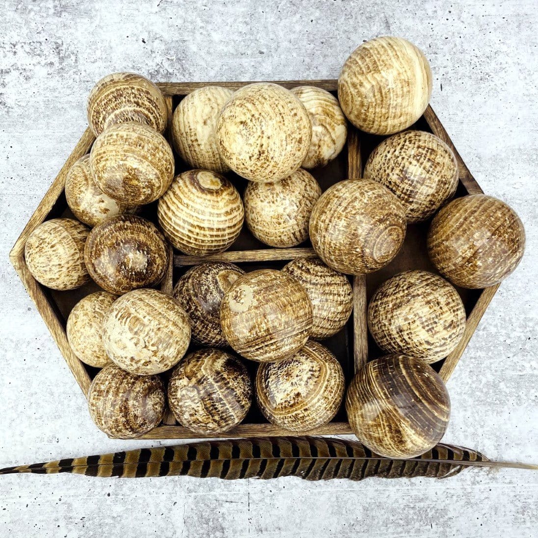 Aragonite Polished Spheres on white background