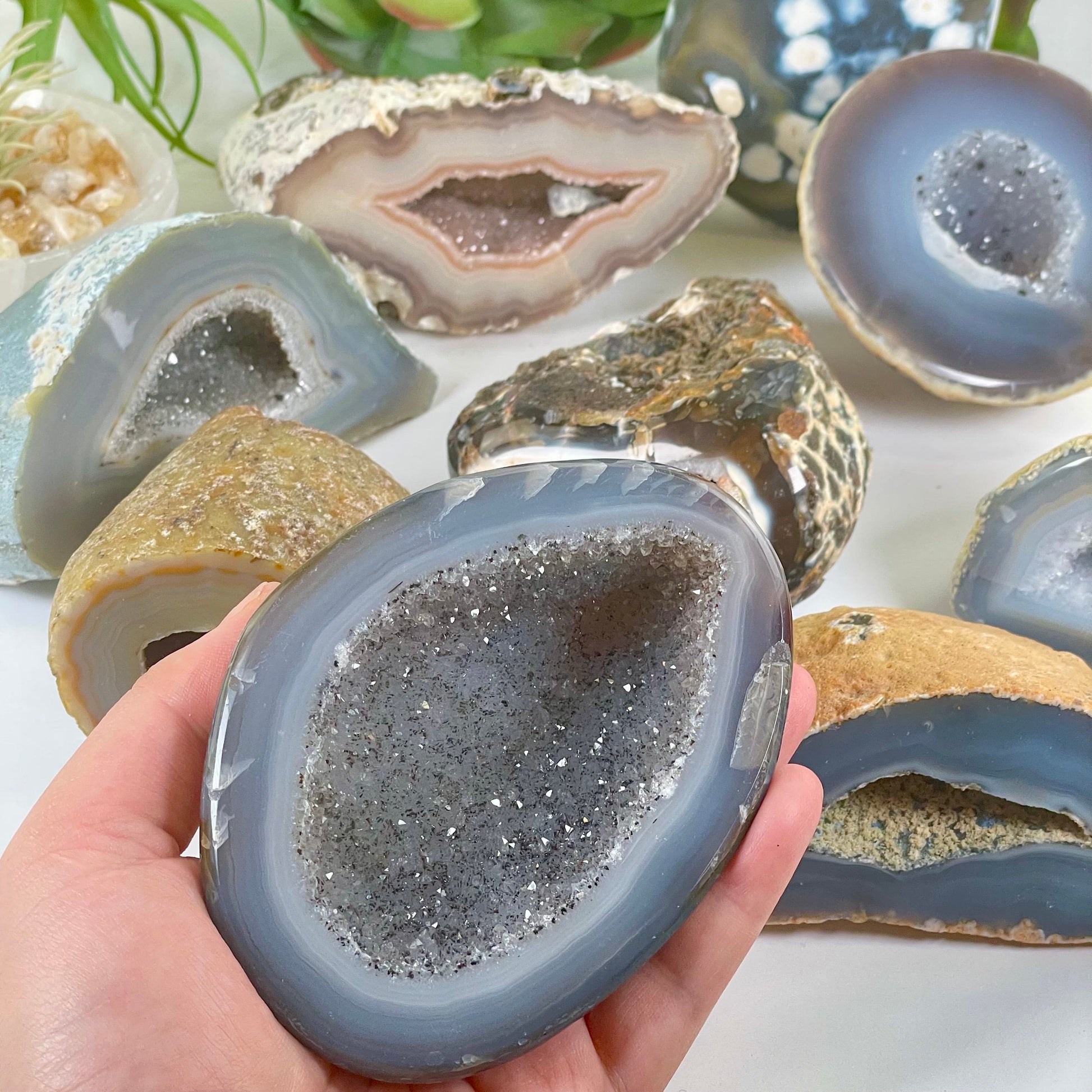 Agate Geode Half - Natural Crystal Geode - You Choose #4 one in hand for size reference with other variants in the background