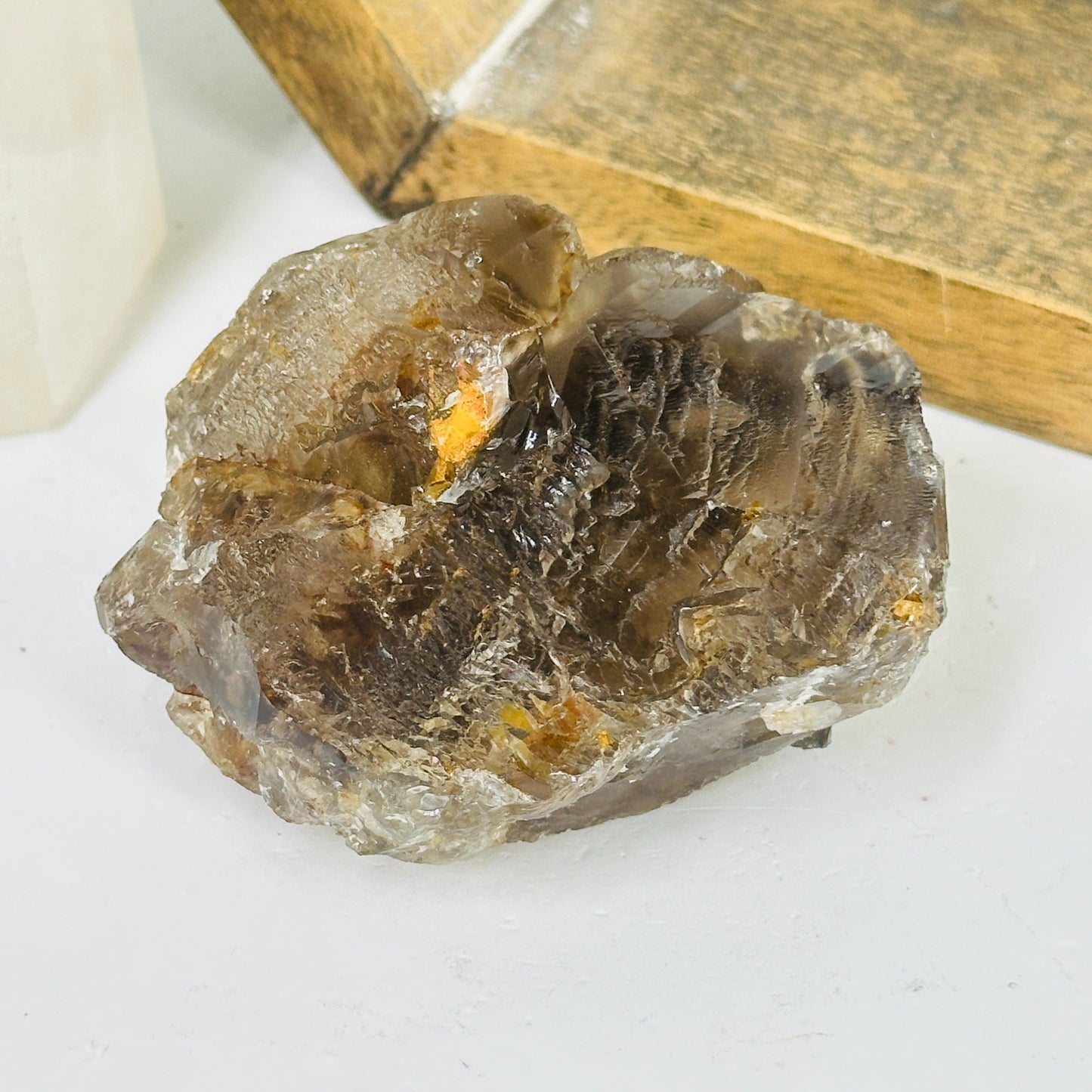alligator smokey quartz with decorations in the background