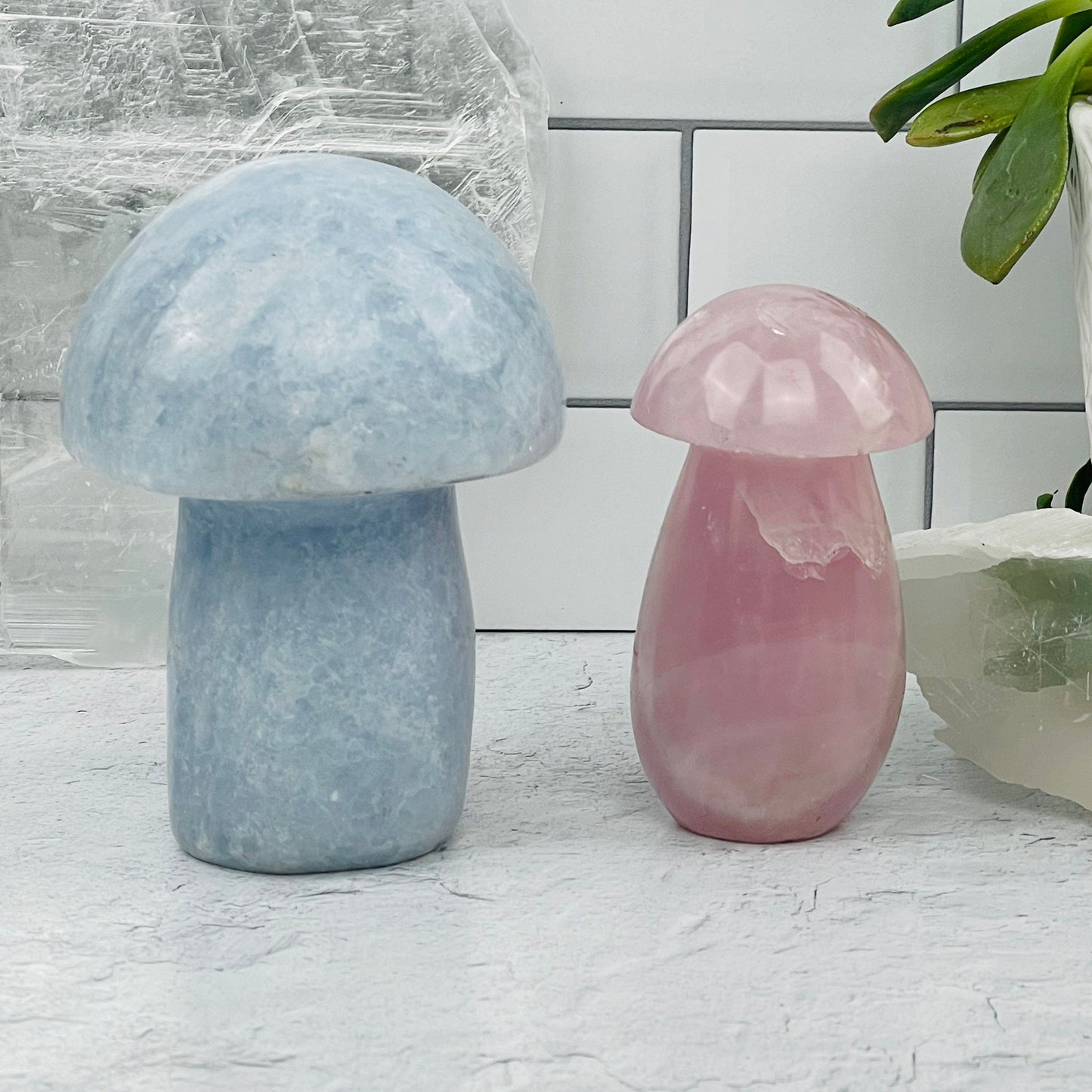 Gemstone Mushrooms displayed as home decor