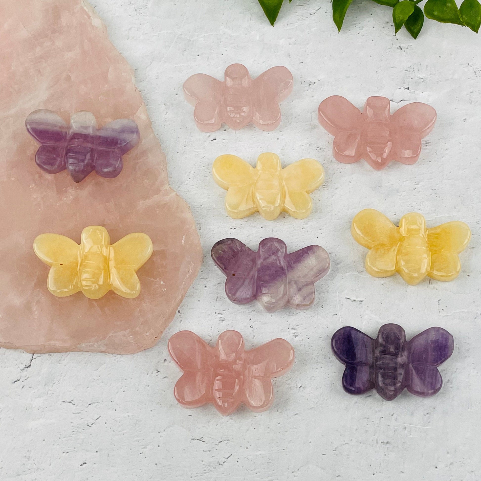 multiple bees displayed to show the differences in the crystal types 