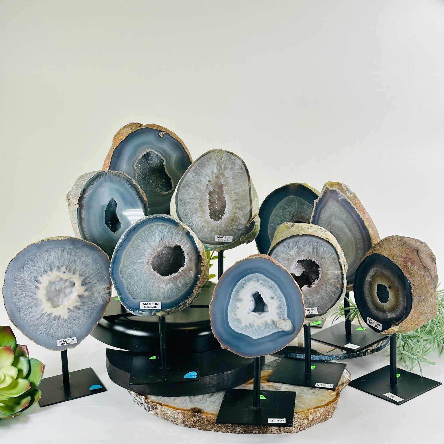 Agate Natural Crystal Geode Half on Stand - You Choose #4 all variants with props and plants in the background