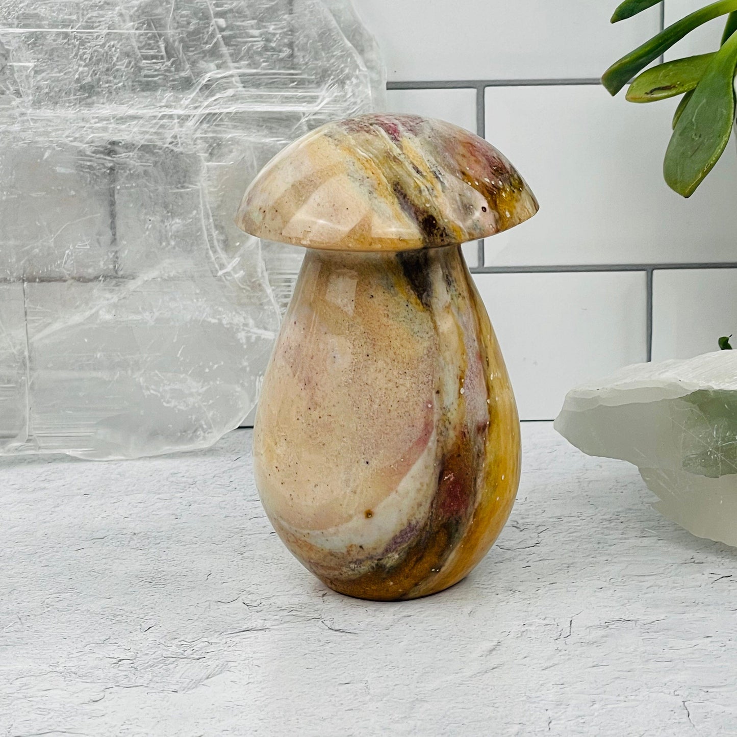 Gemstone Mushroom displayed as home decor 