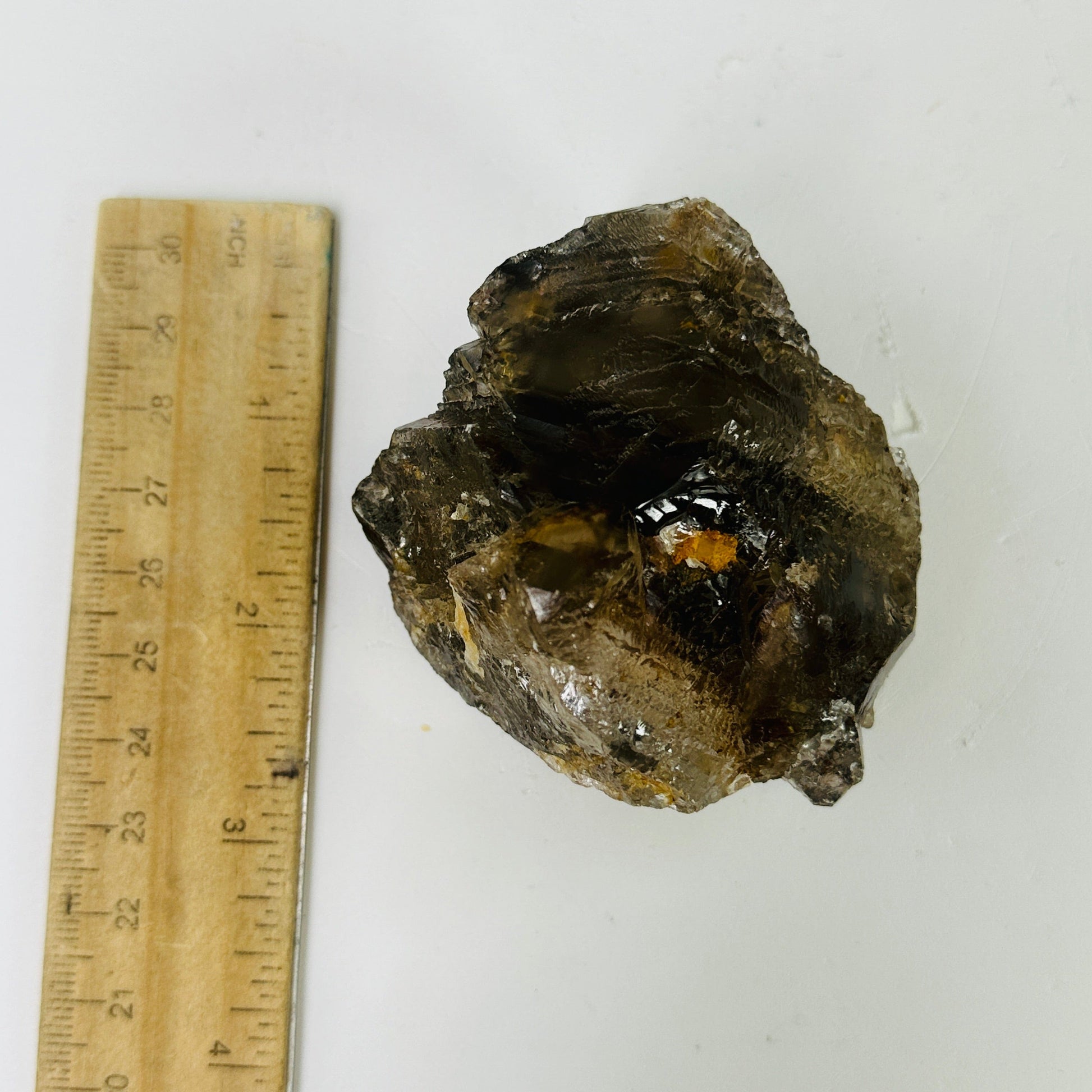 alligator smokey quartz with decorations in the background