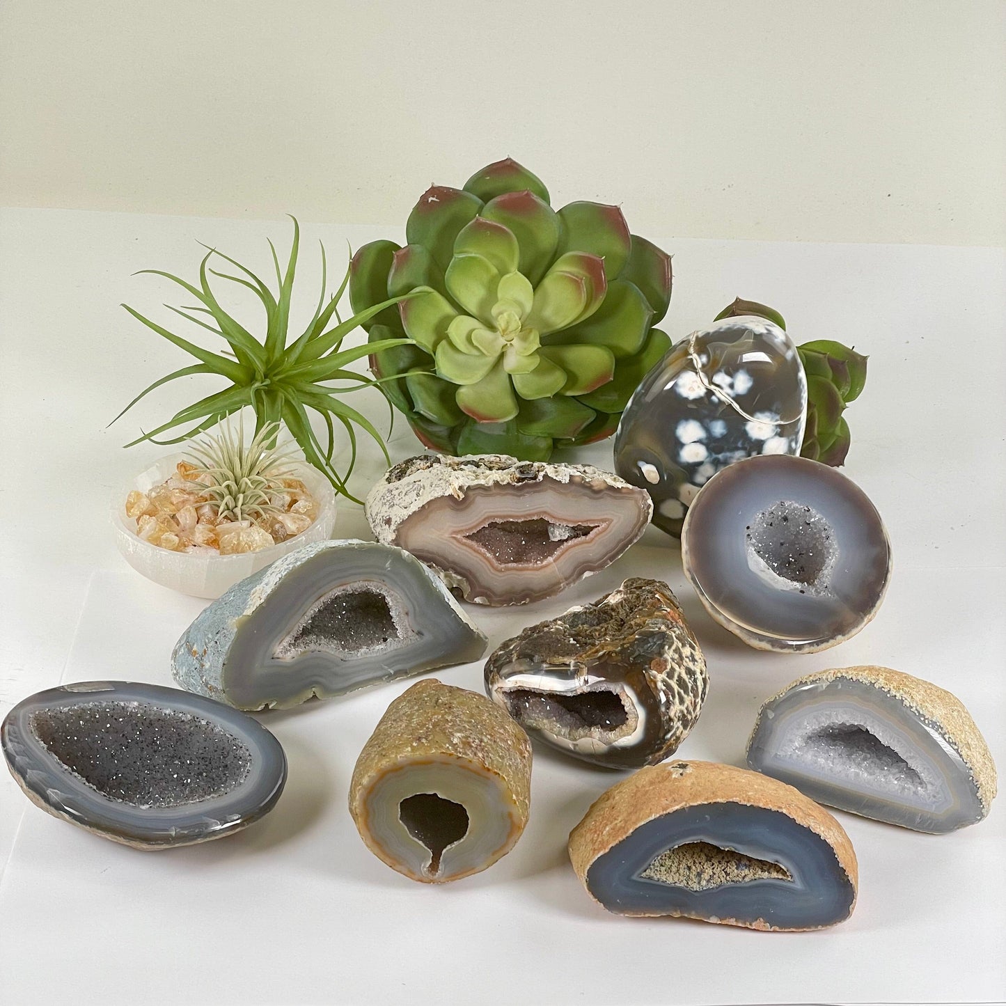 Agate Geode Half - Natural Crystal Geode - You Choose #4 all variants with plants and props in the background