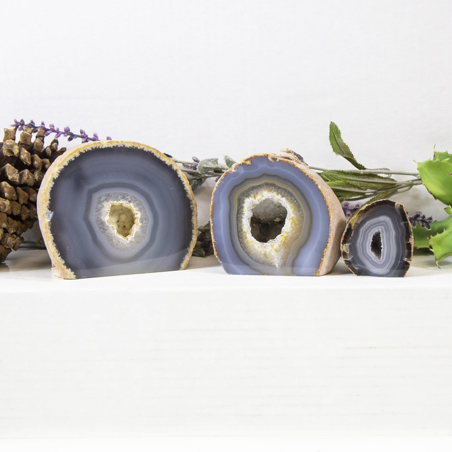 Three Agate Half Geode Druzy in an alter with a white background displaying size, pattern and color variation.