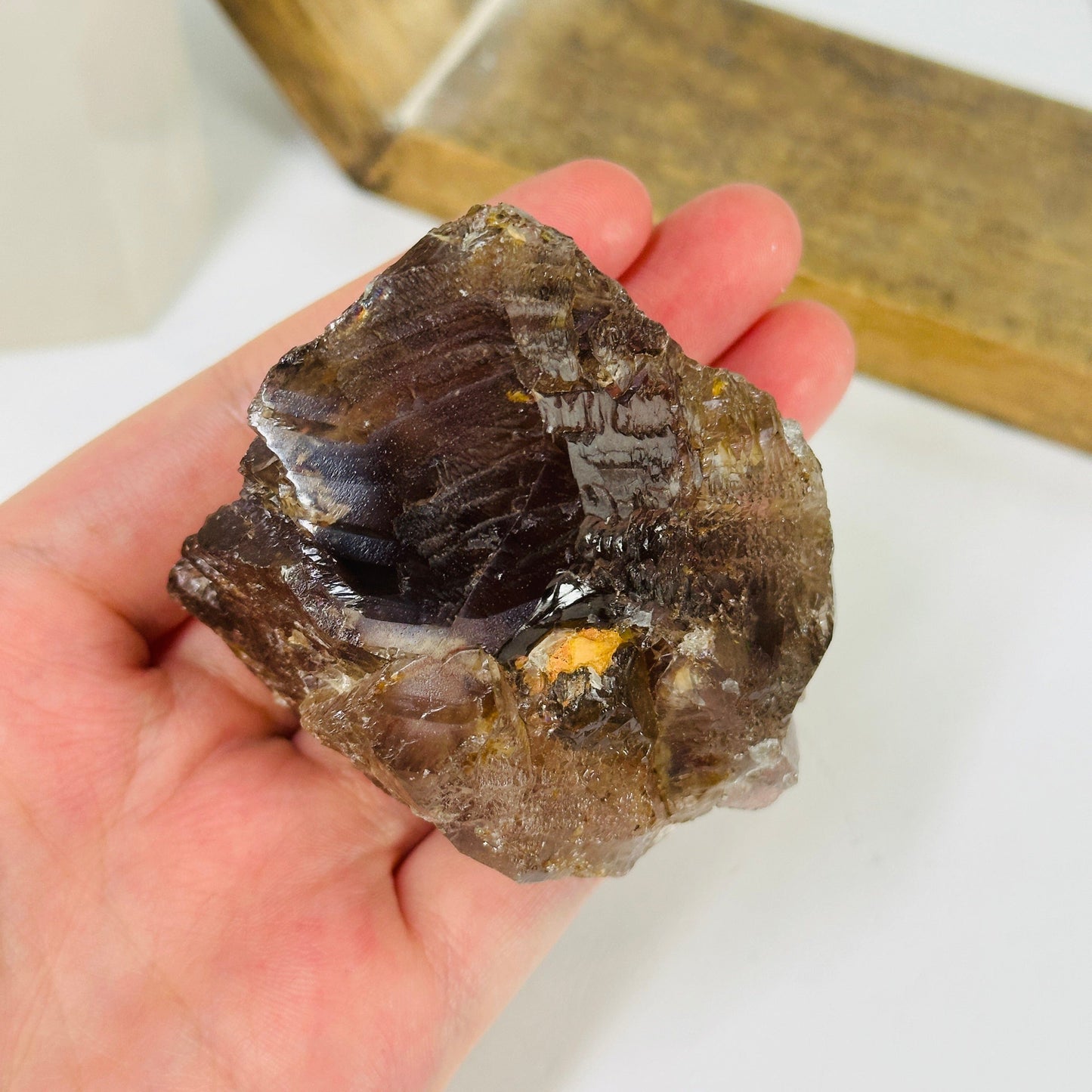 alligator smokey quartz with decorations in the background
