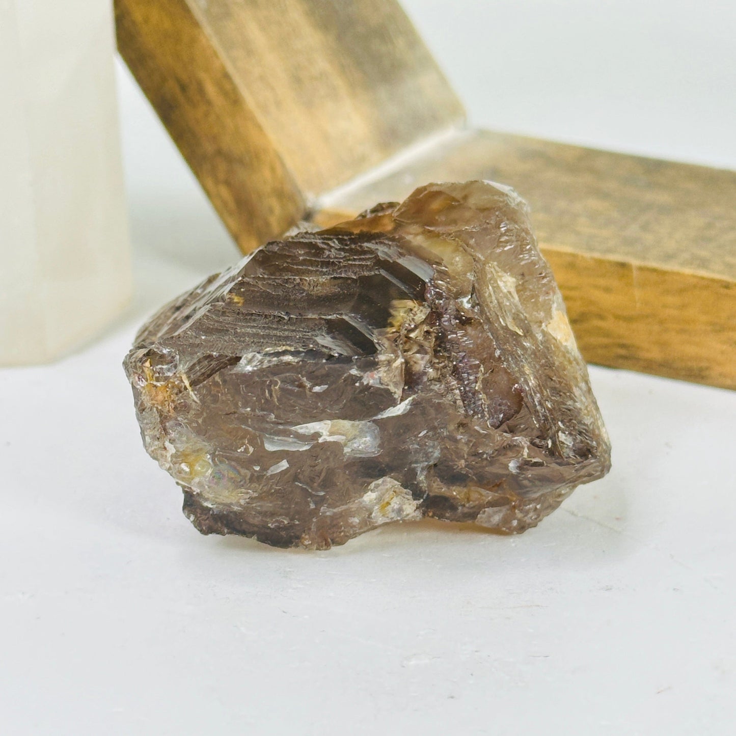 alligator smokey quartz with decorations in the background