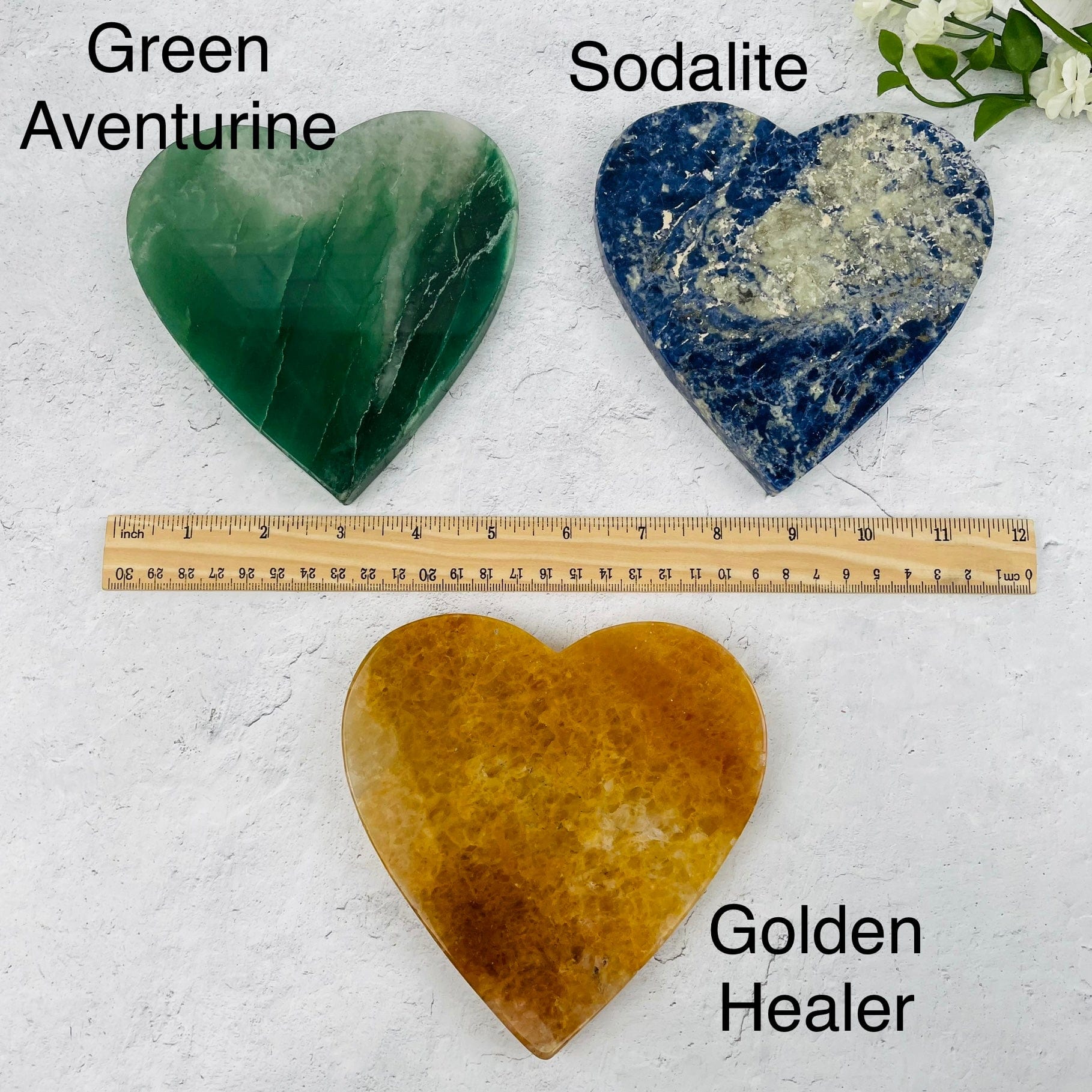 hearts displayed next to a ruler for size reference 