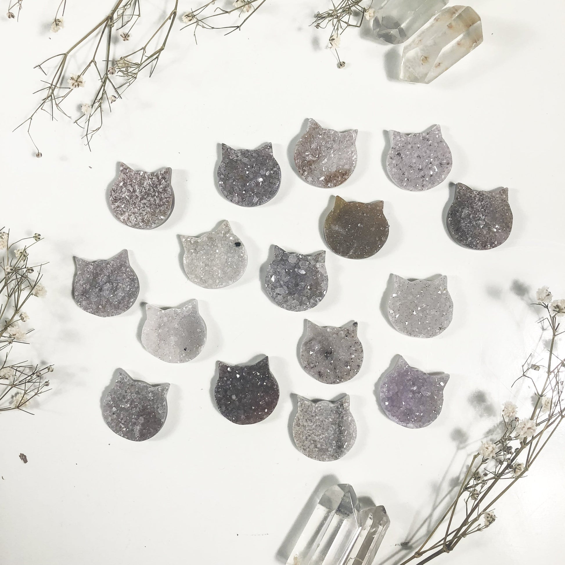 multiple agate cat head cabochons displayed to show the differences in the color shades 