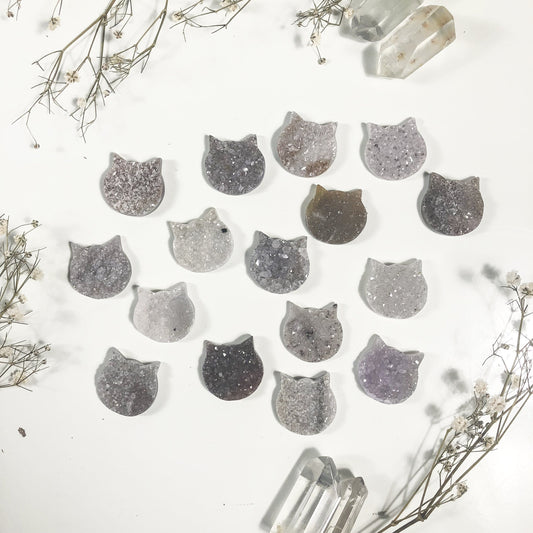 multiple agate cat head cabochons displayed to show the differences in the color shades 