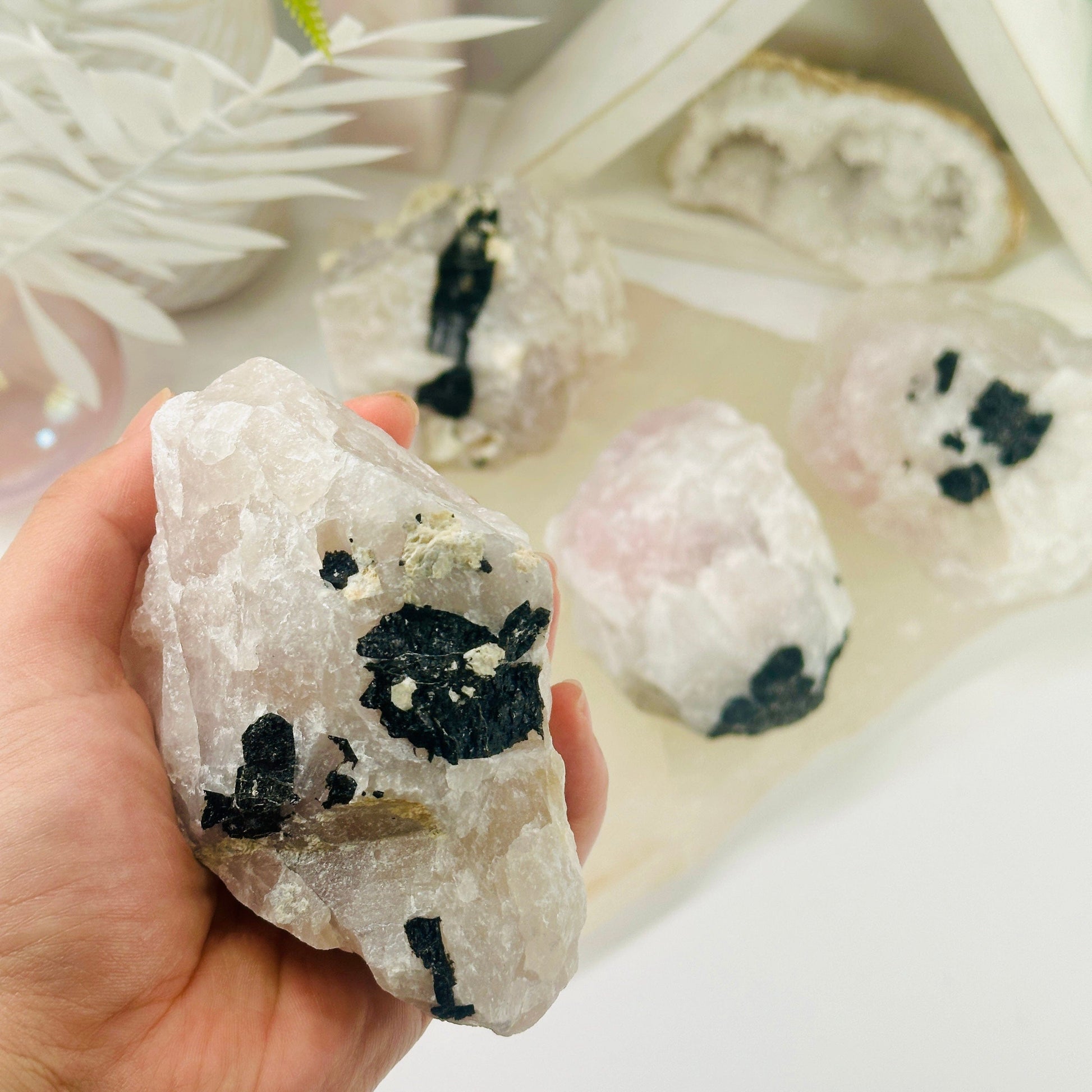 Black Tourmaline on Rose Quartz Matrix - You Choose - variant 3 in hand with other variants in background