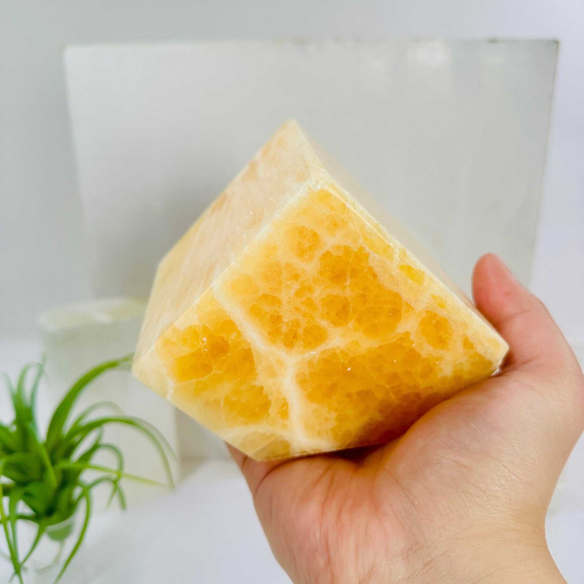 Light Yellow Mexican Onyx Polished Faceted Cube - You Choose - variant B in hand for size reference