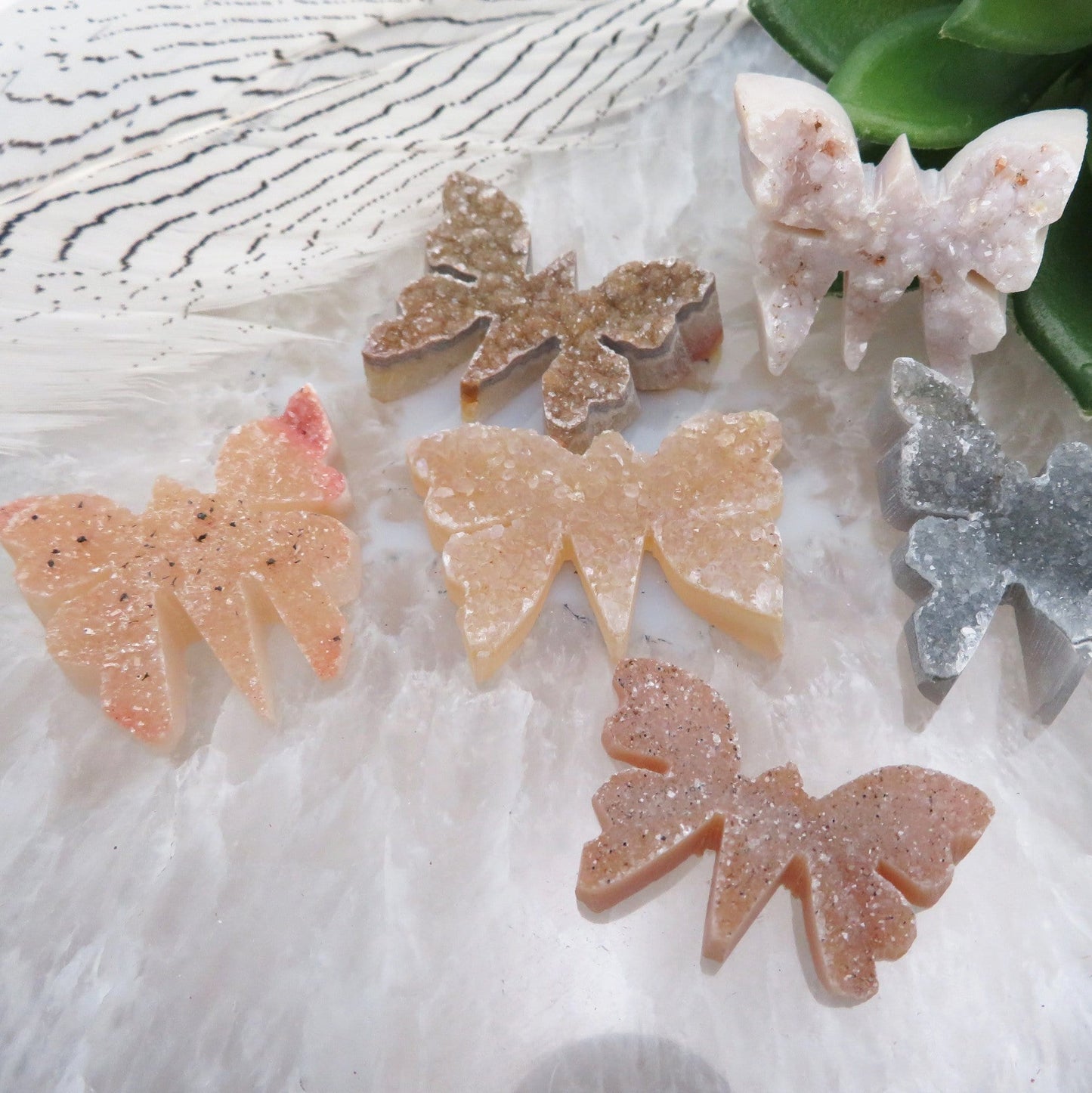 druzy butterflies - 6 on a table