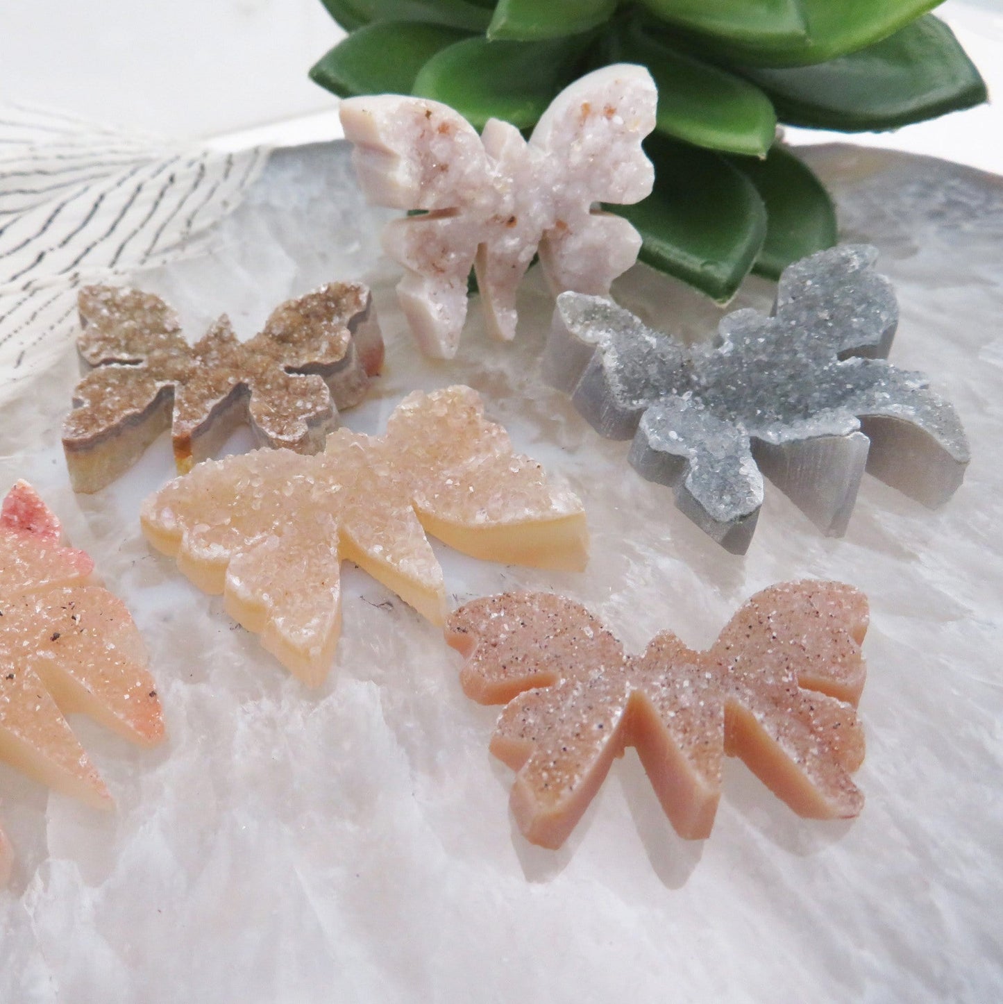 close up of druzy butterflies