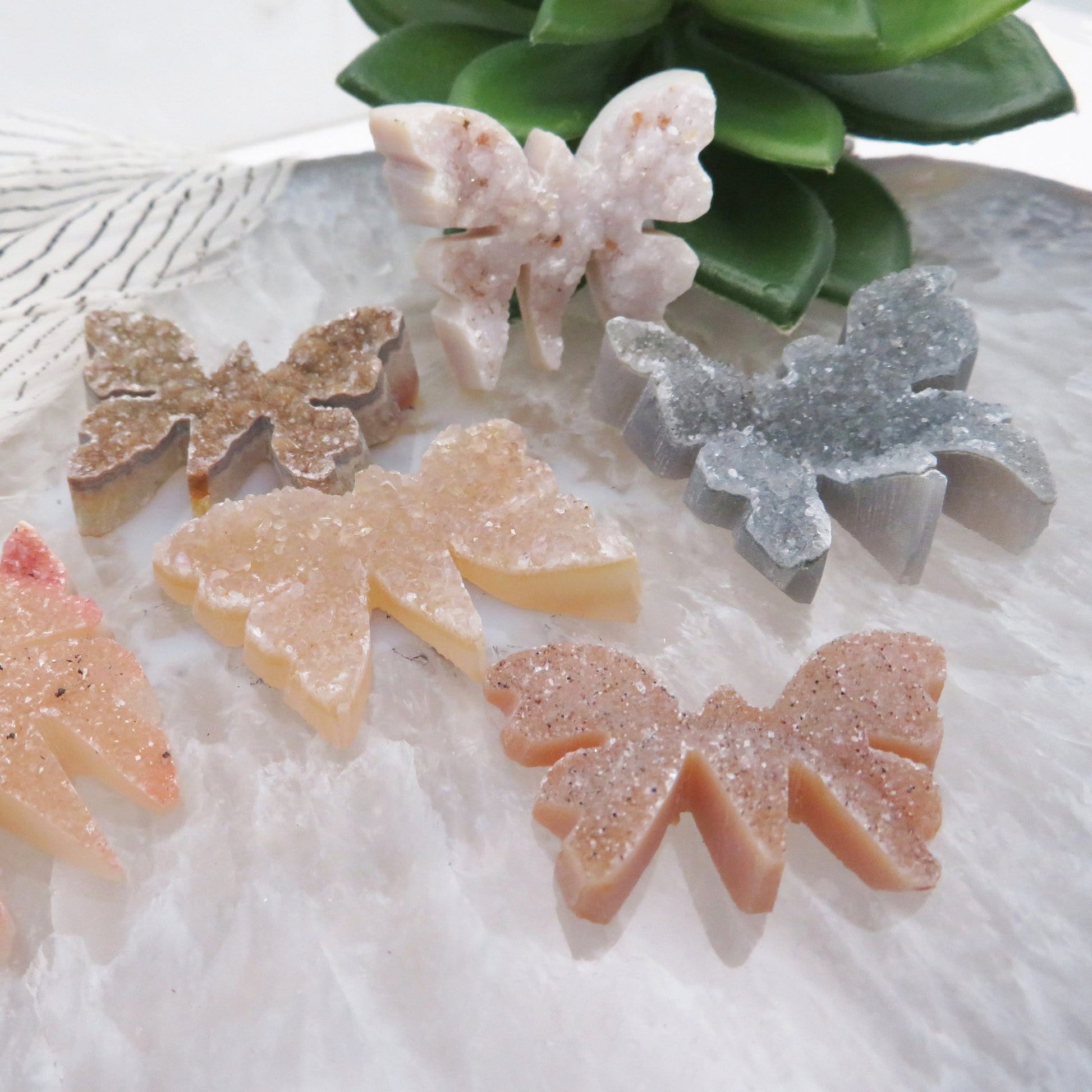 close up of druzy butterflies