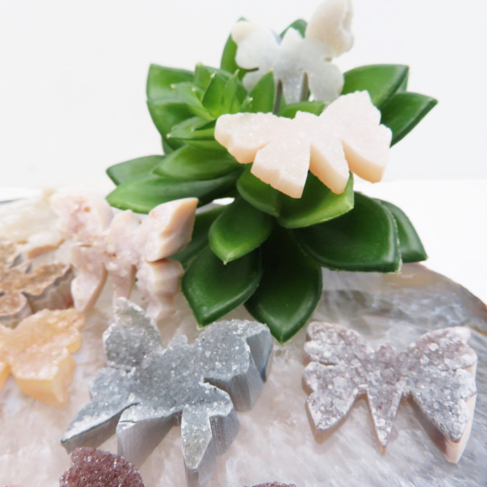 close up of druzy butterflies