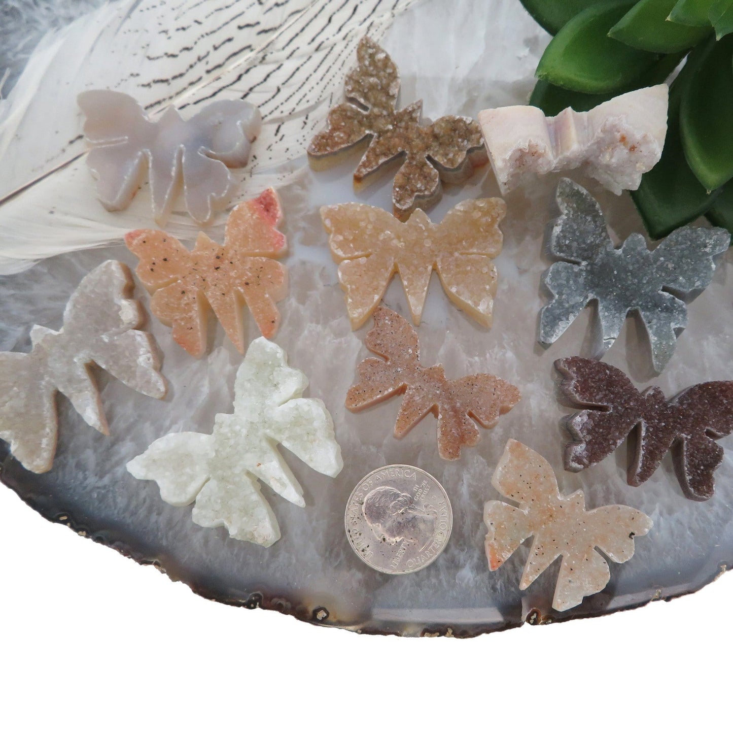 a bunch of butterflies next to a quarter